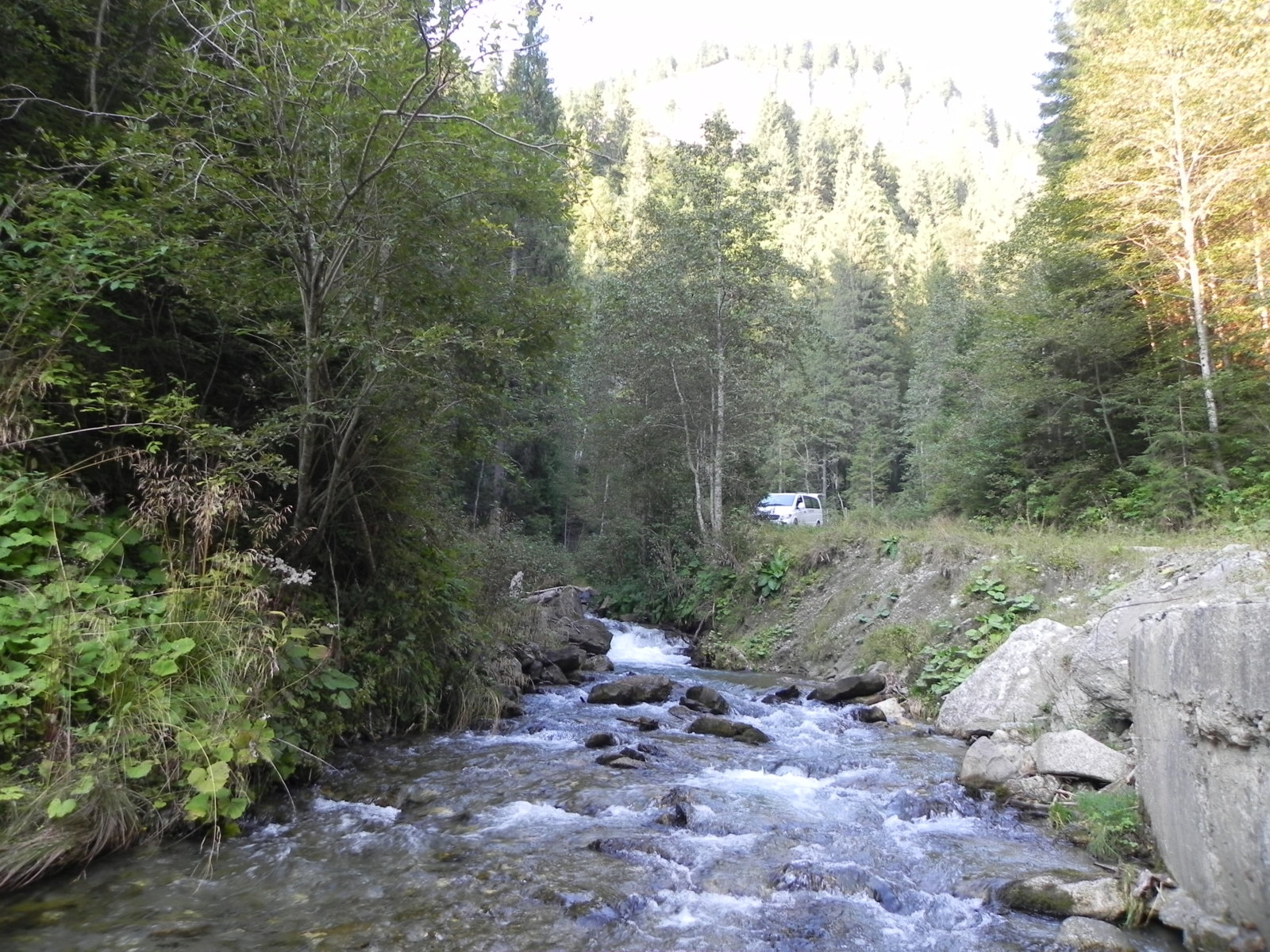 DSCN0226.JPG