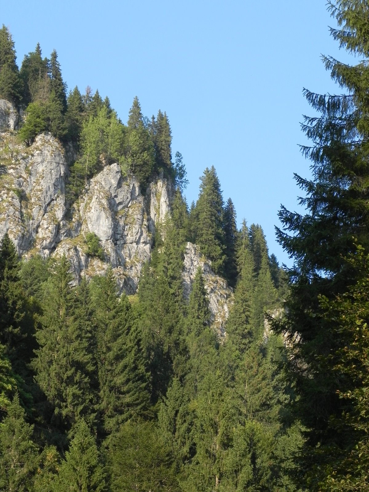 DSCN0229.JPG