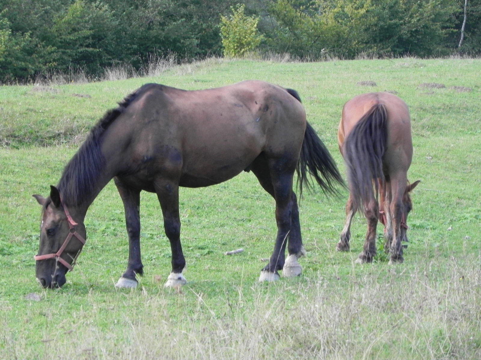 DSCN0290.JPG