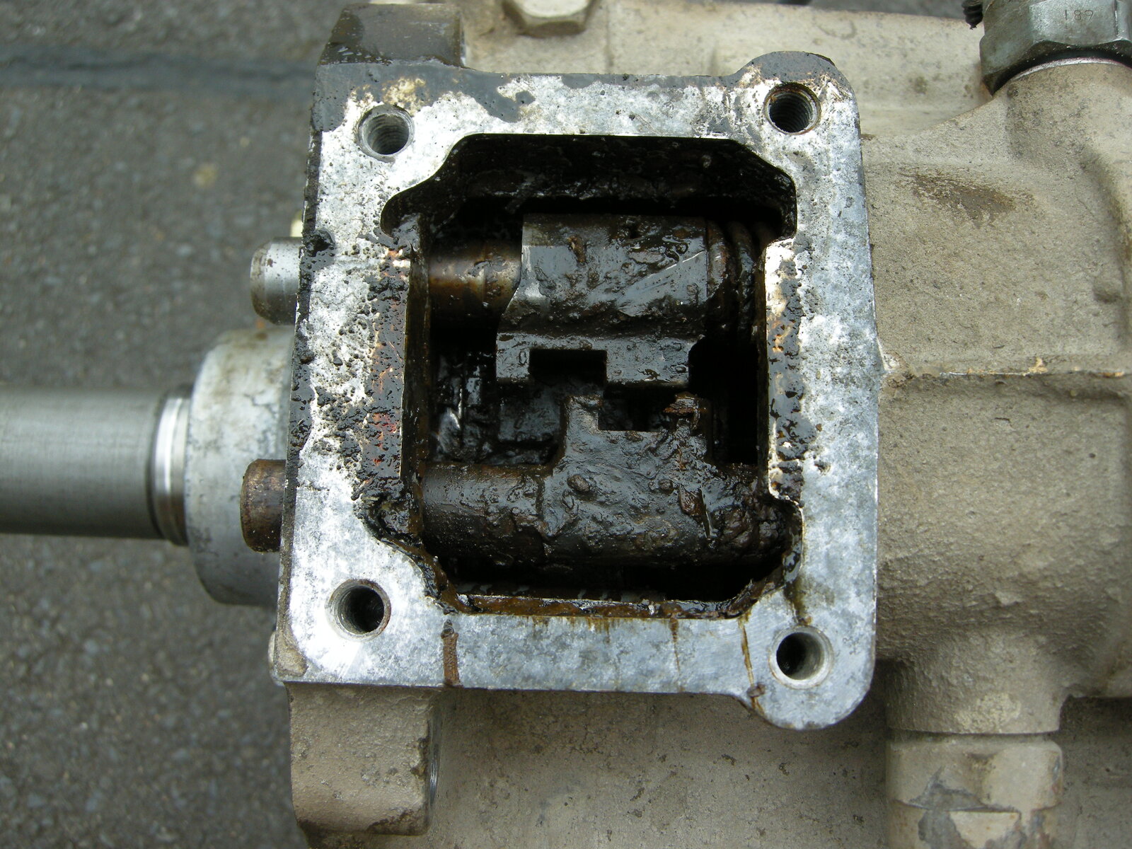 DSCN0318.JPG