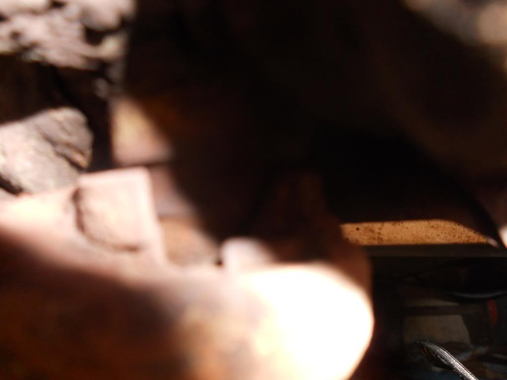 DSCN0455_zpsb5229fff.jpg