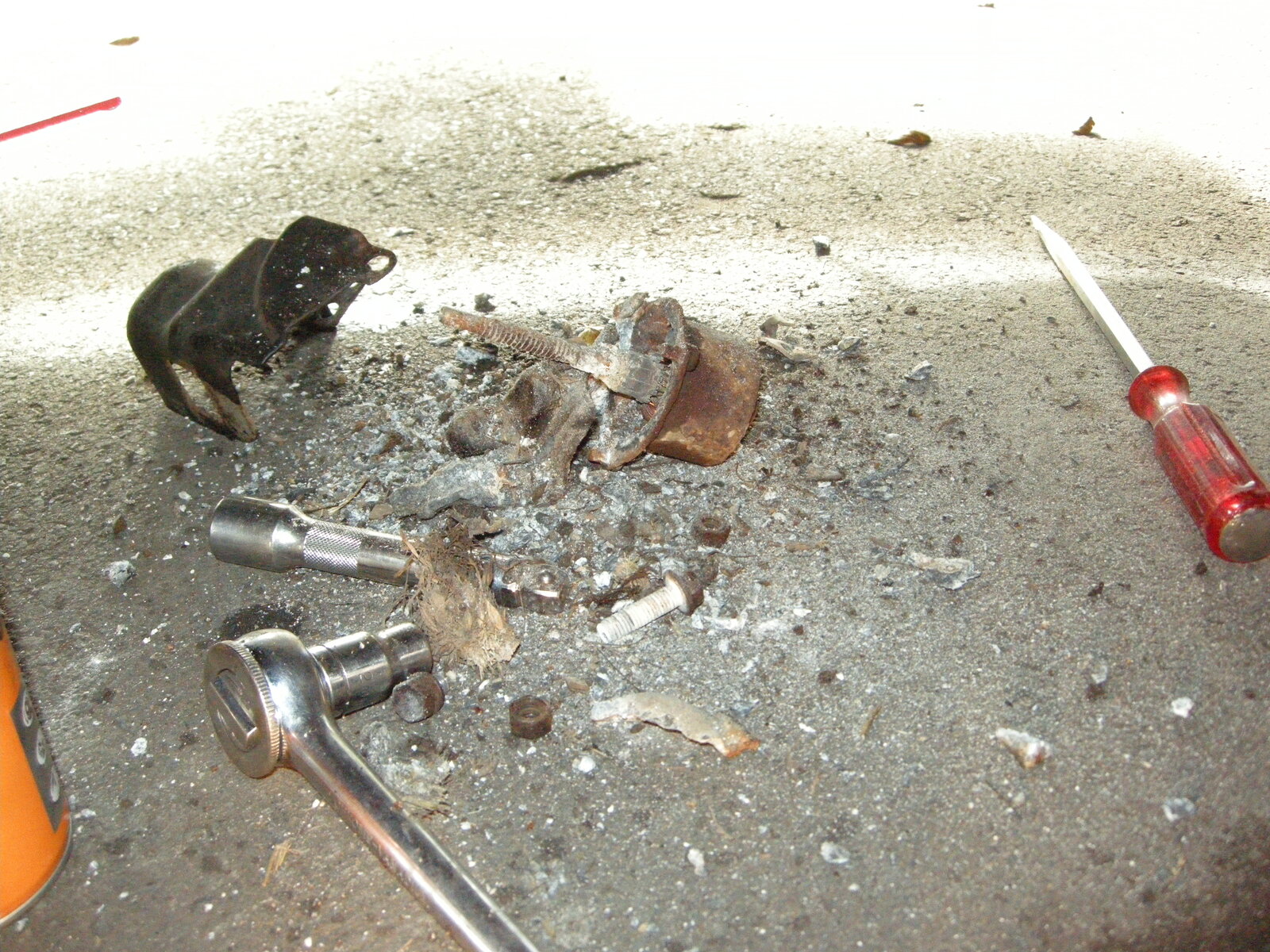 DSCN0595.JPG