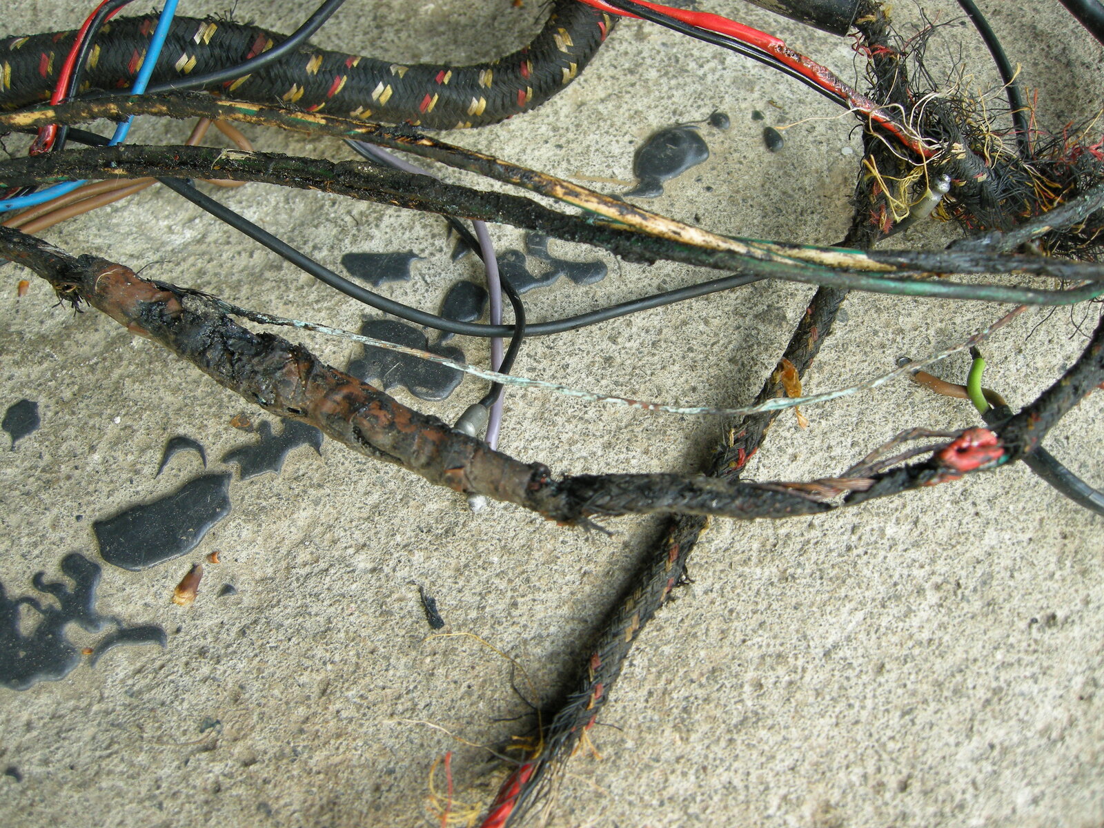 DSCN0615.JPG