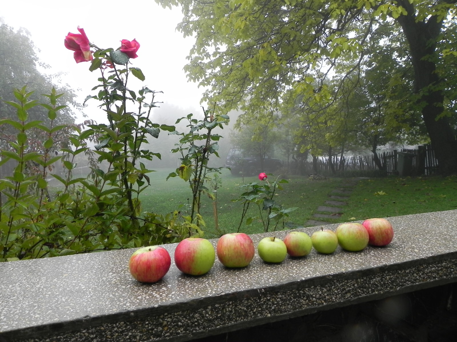 DSCN0771.JPG