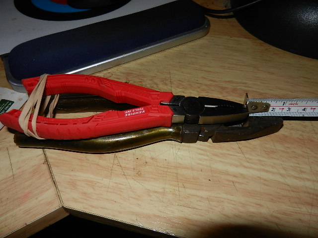 DSCN0815.JPG