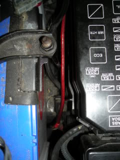 DSCN0825.jpg