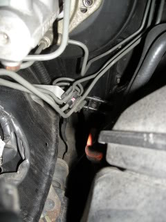 DSCN0830.jpg