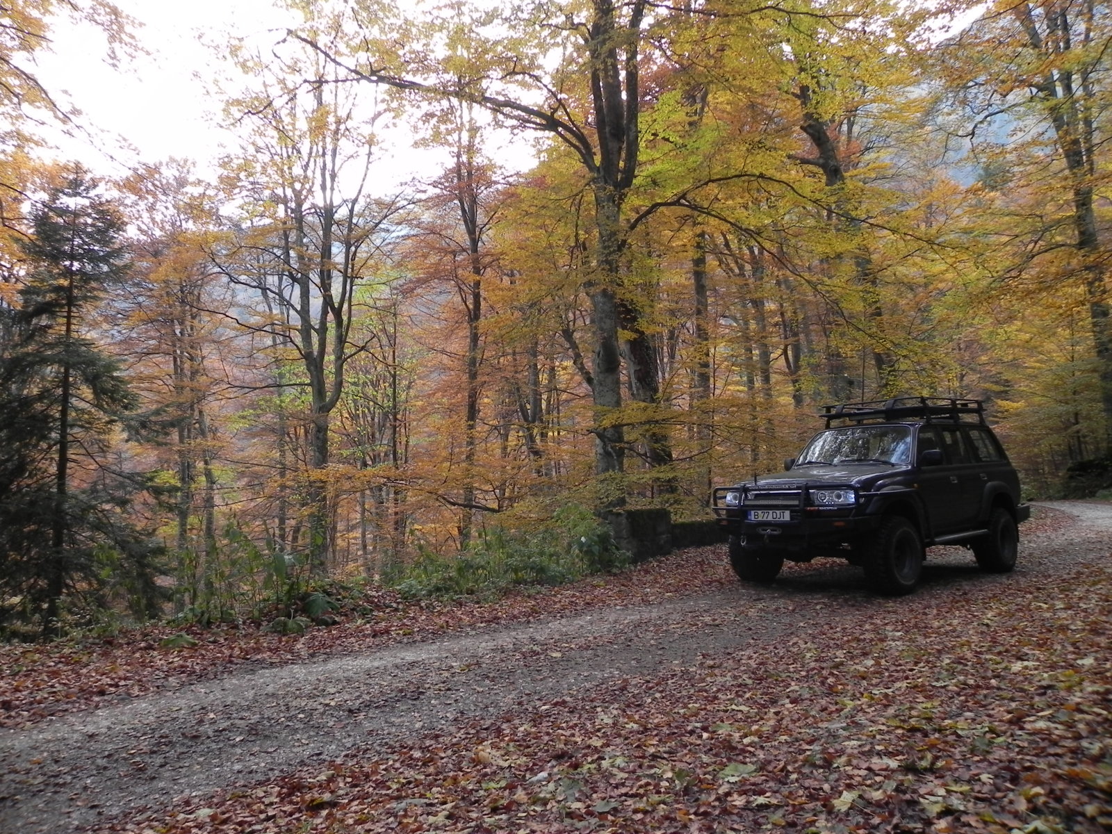 DSCN0849.JPG
