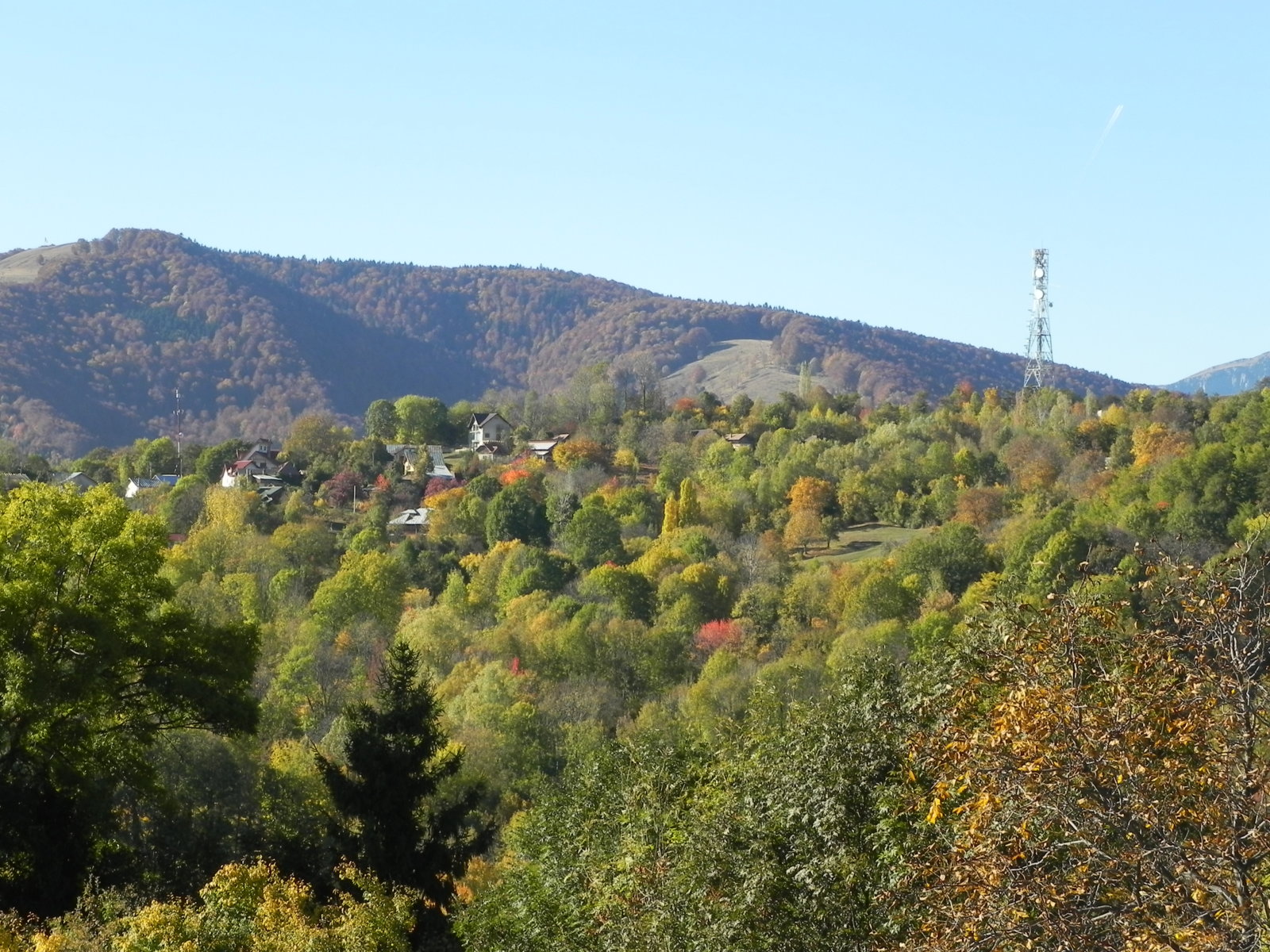 DSCN1095.JPG