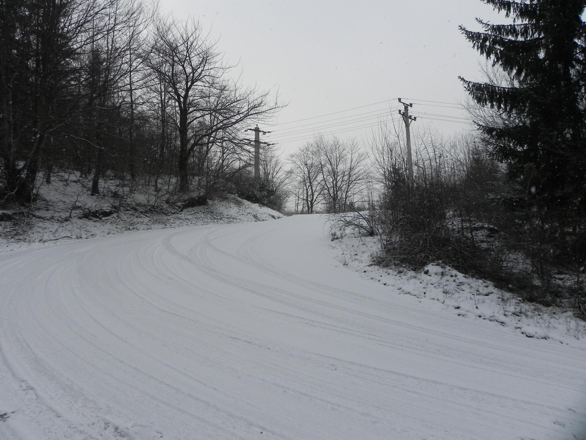 DSCN2687.jpg