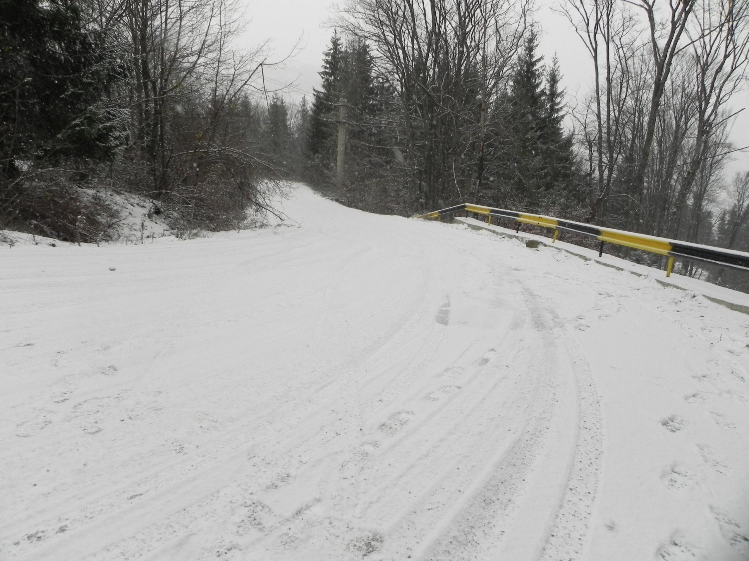DSCN2688.jpg