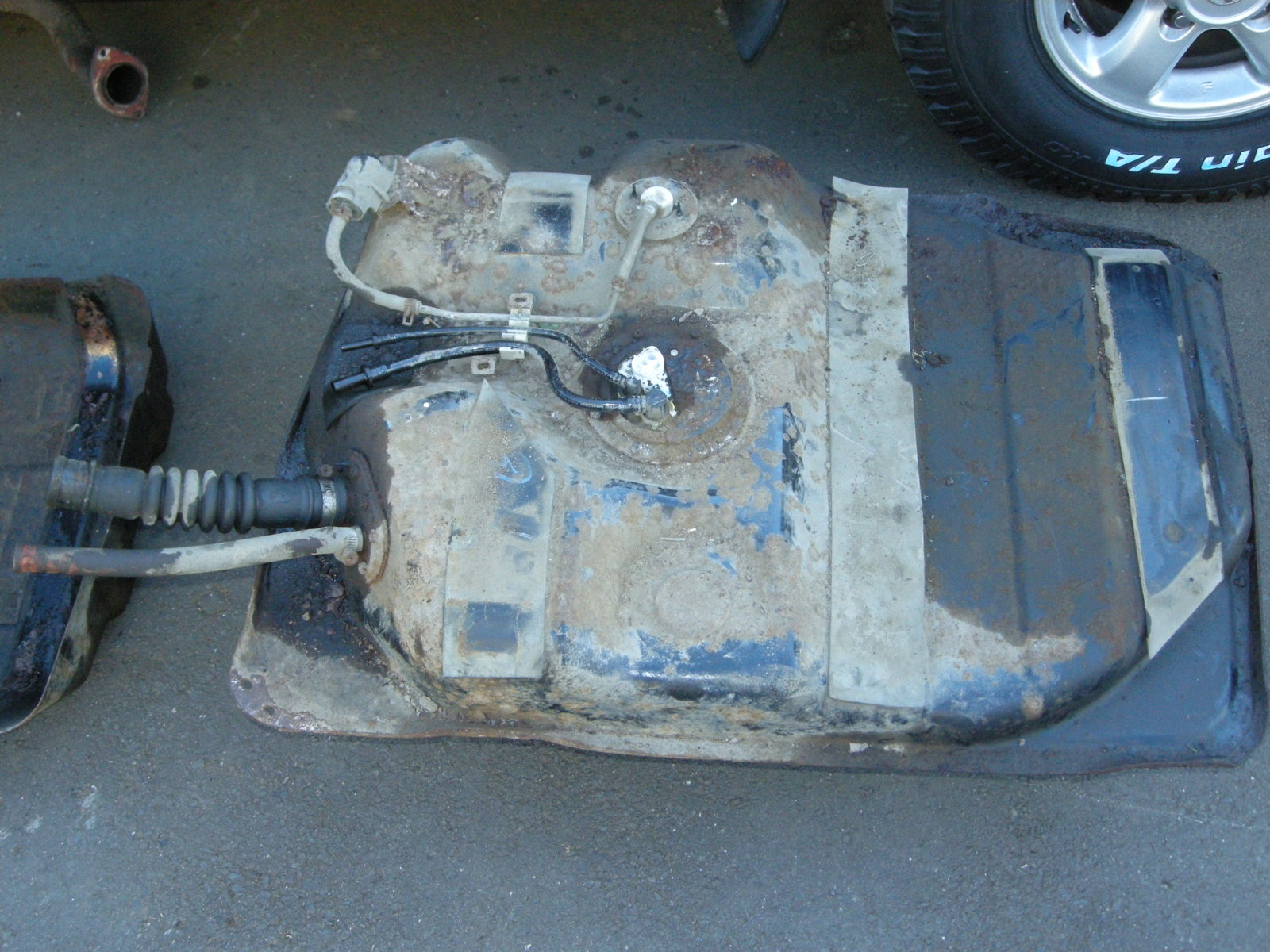 DSCN3113.JPG