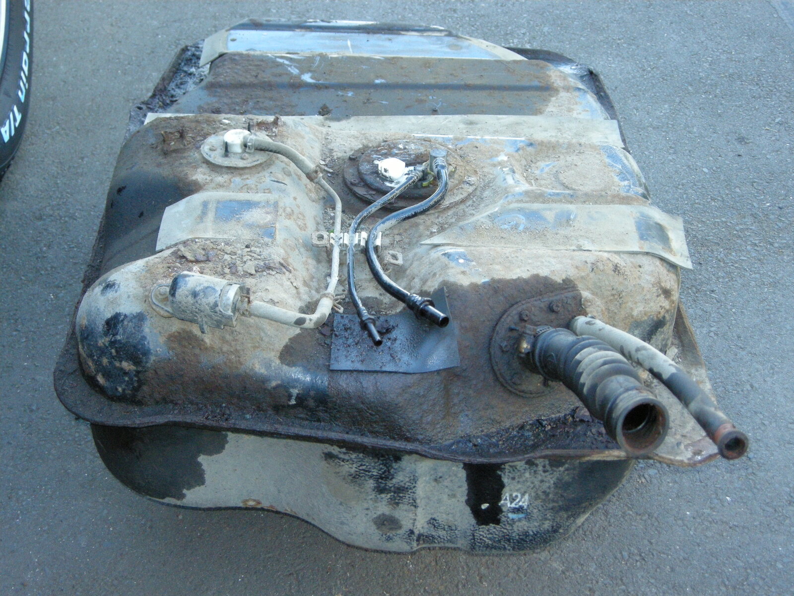 DSCN3115.JPG