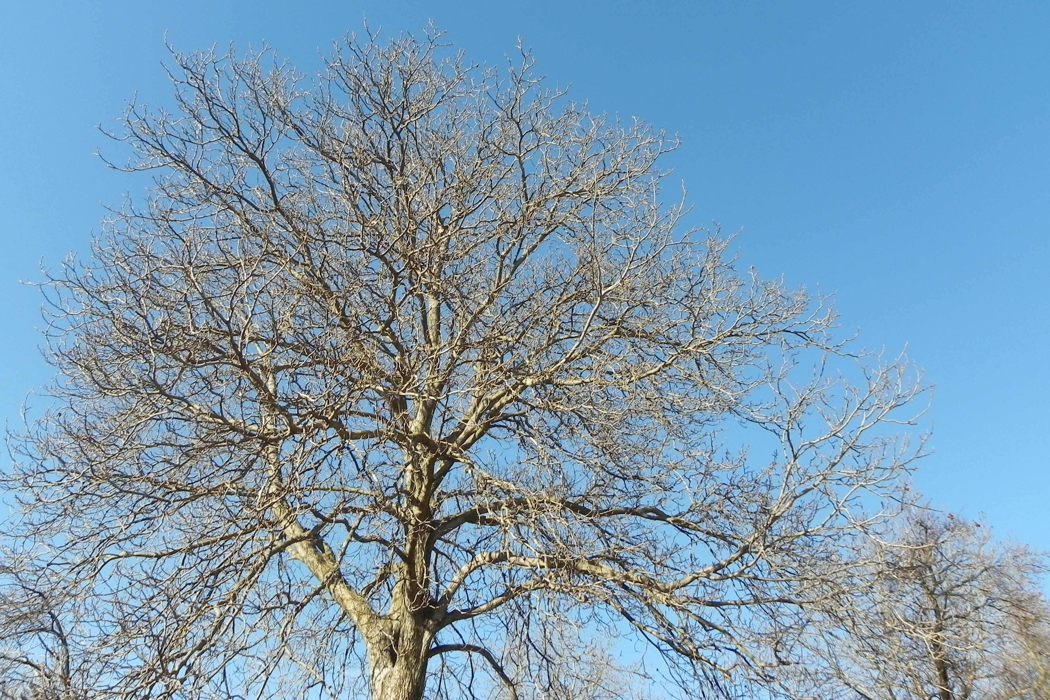DSCN3200.JPG