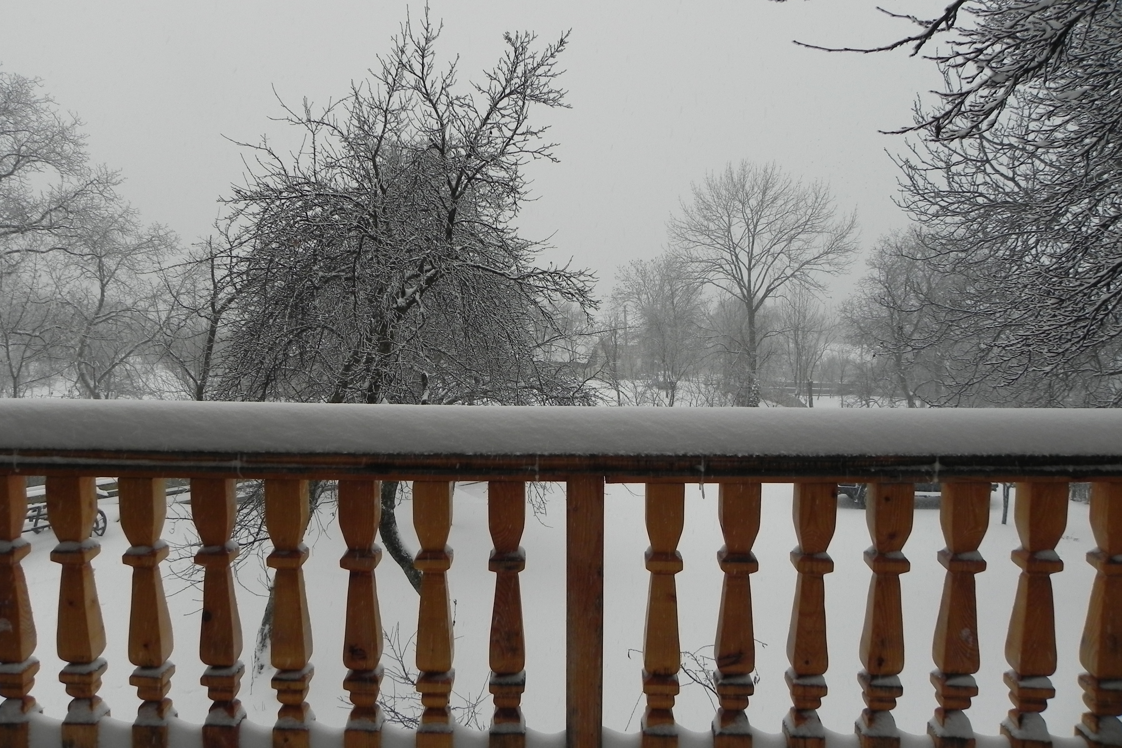 DSCN3296.JPG