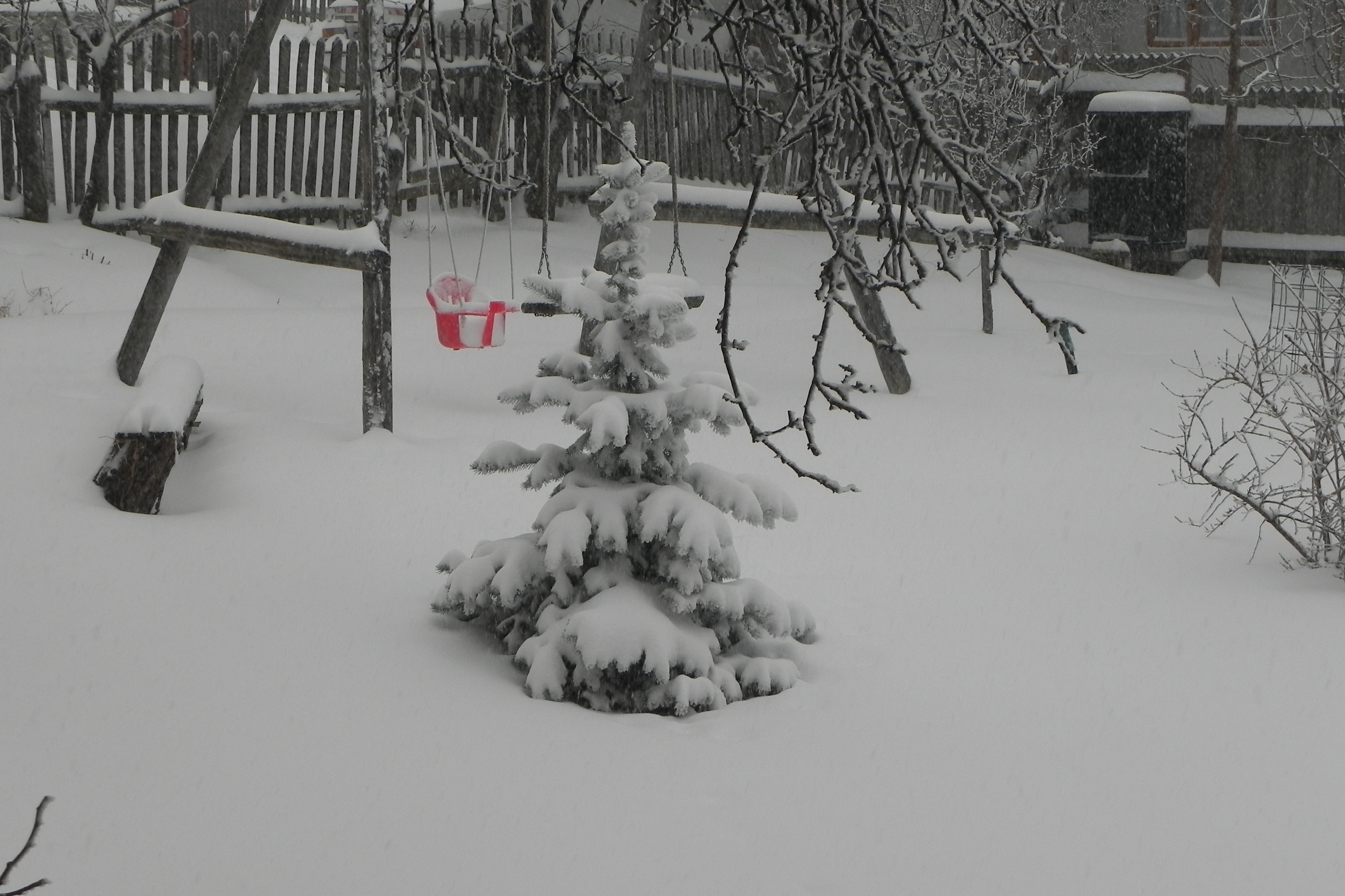 DSCN3305.JPG