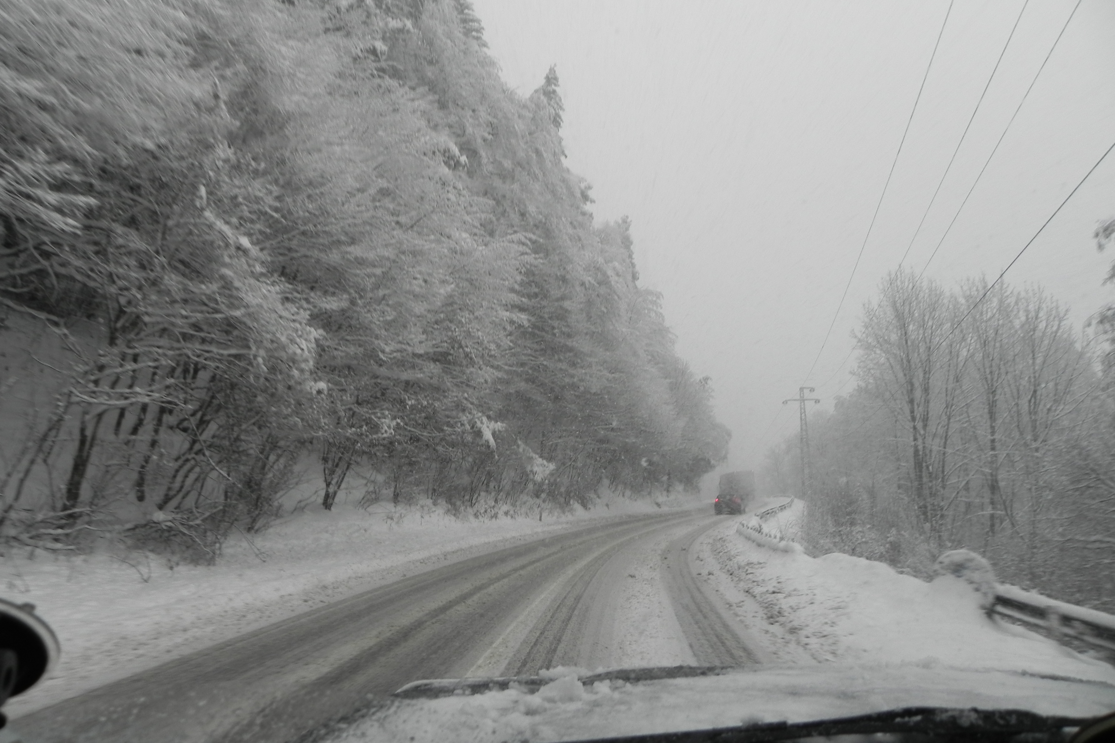 DSCN3354.JPG