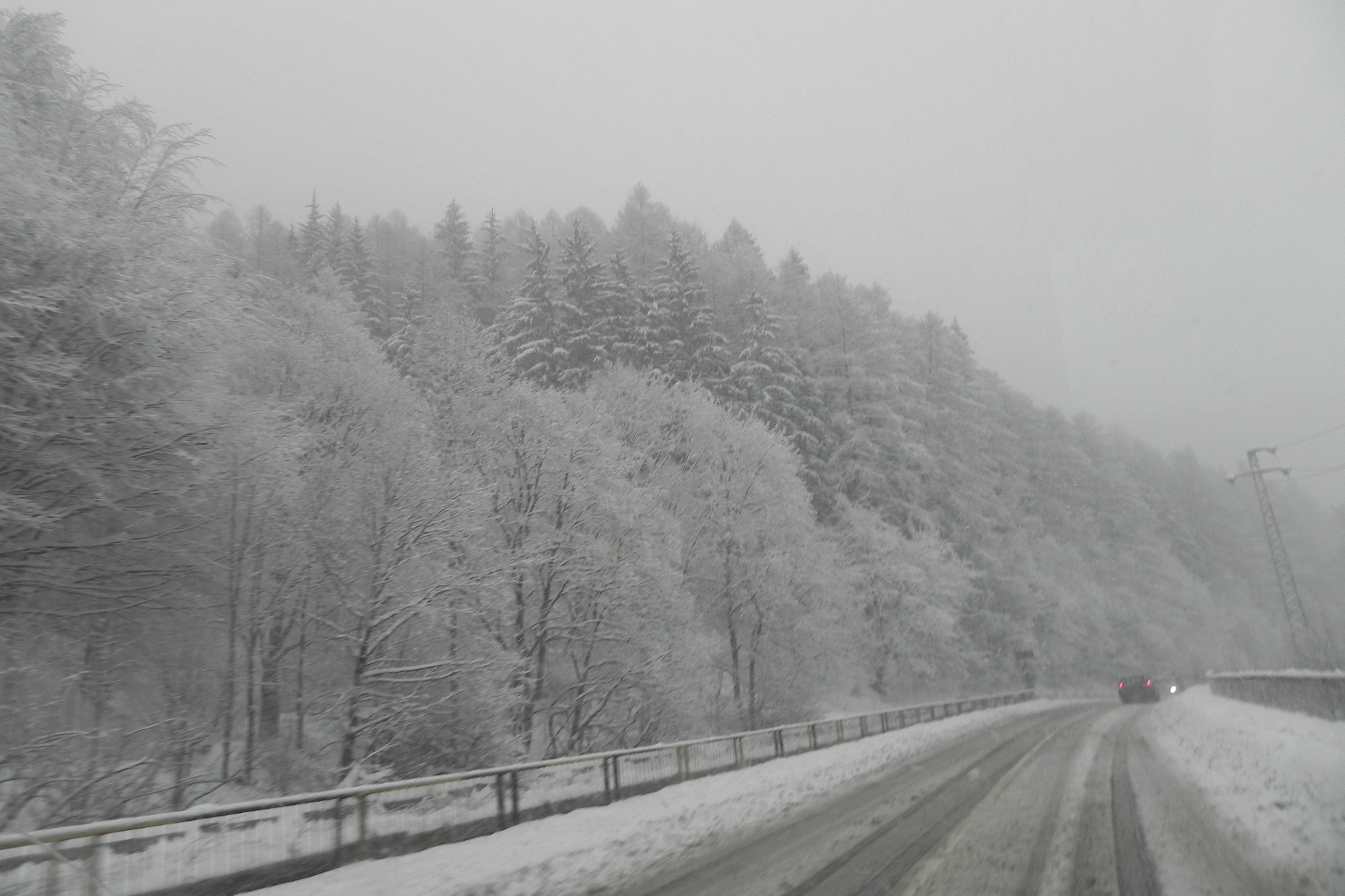 DSCN3355.JPG