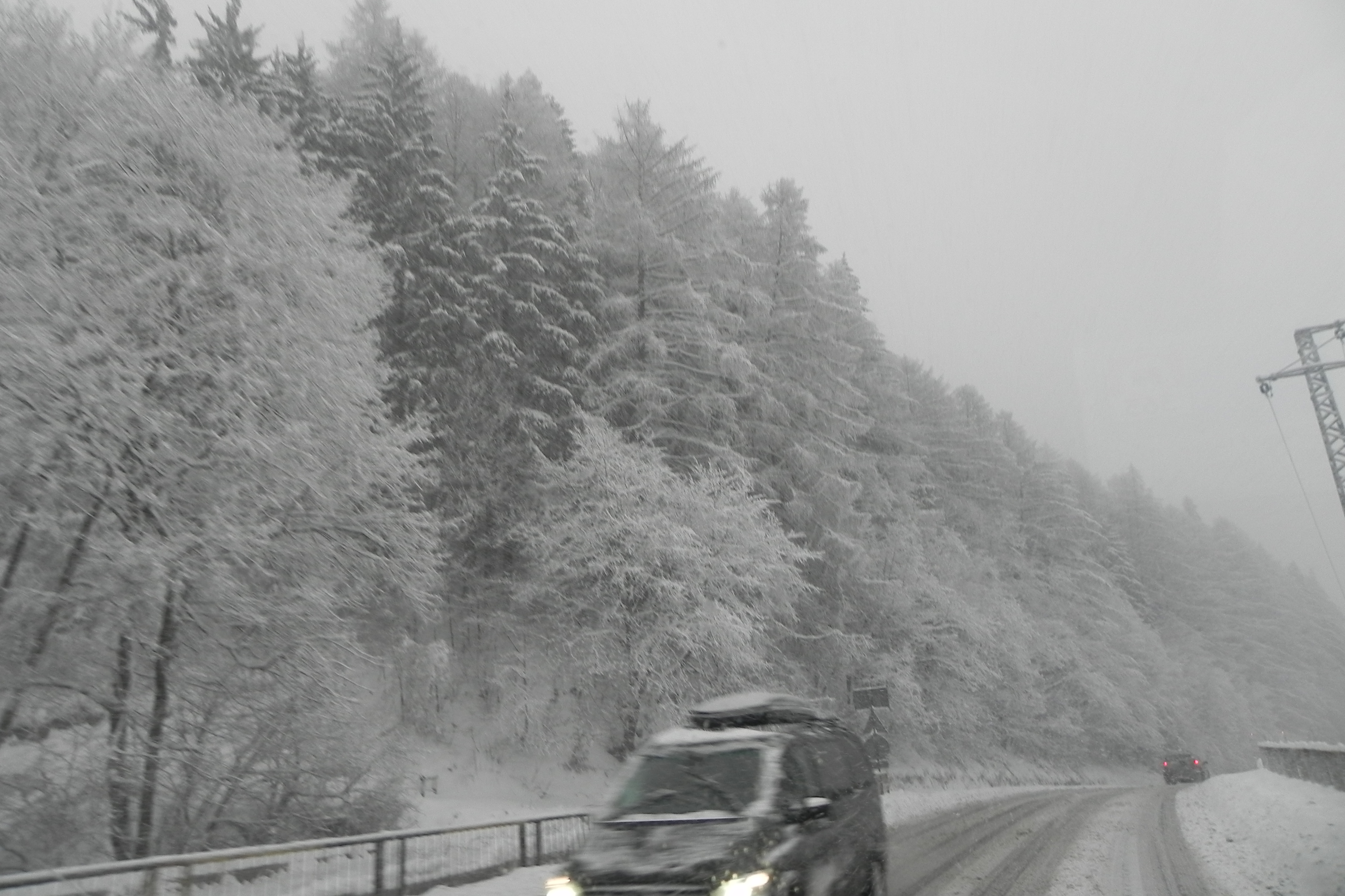 DSCN3356.JPG