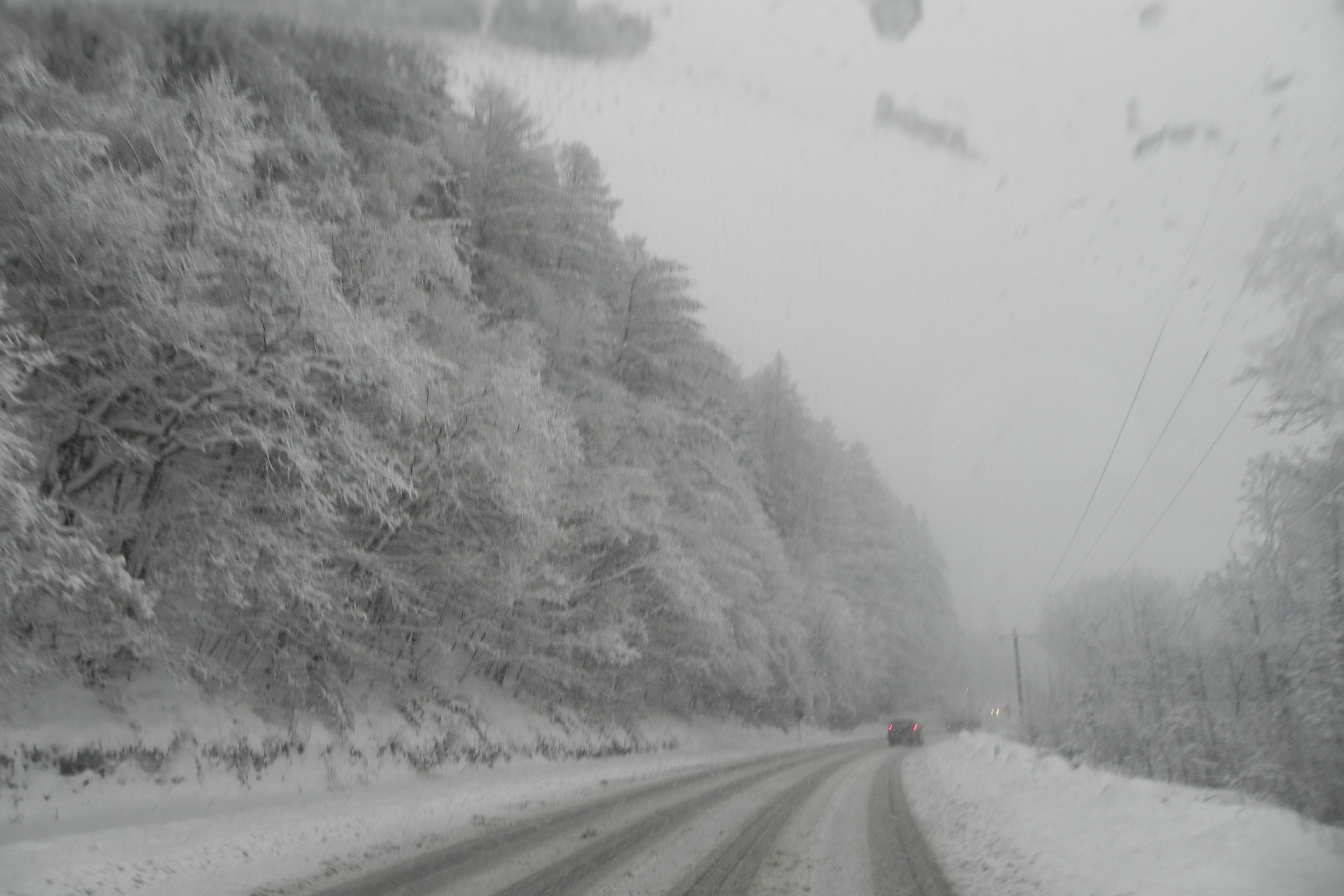 DSCN3357.JPG