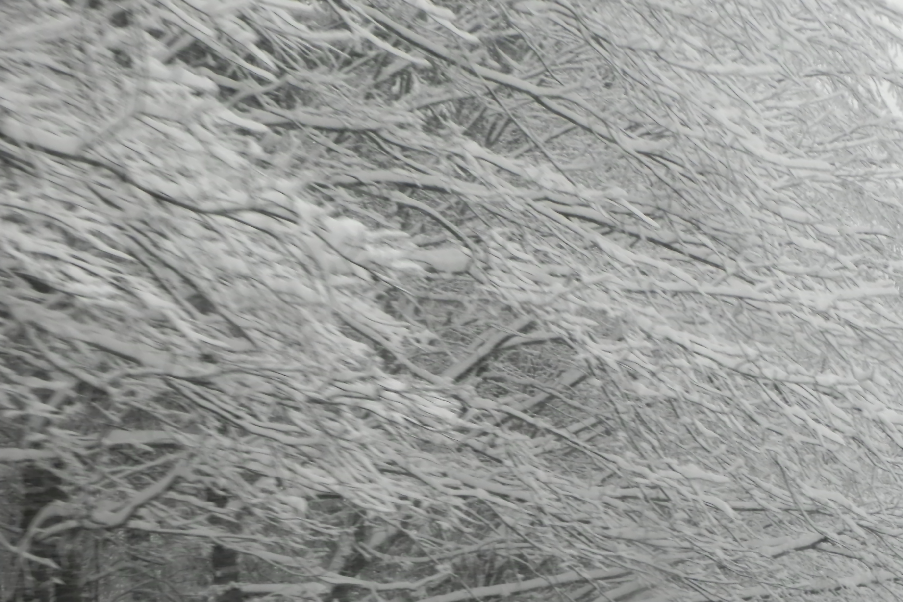 DSCN3358.JPG