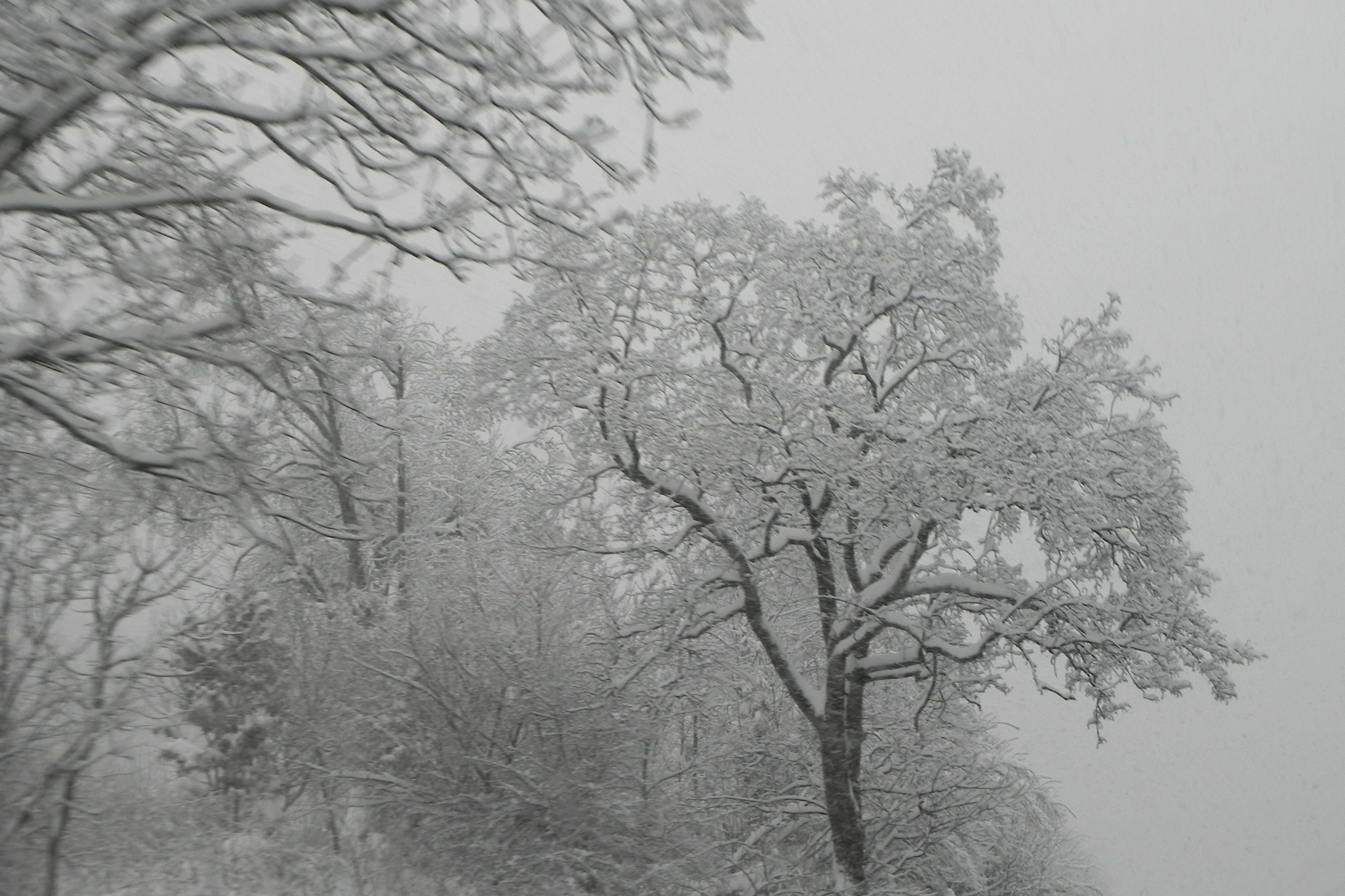 DSCN3359.JPG