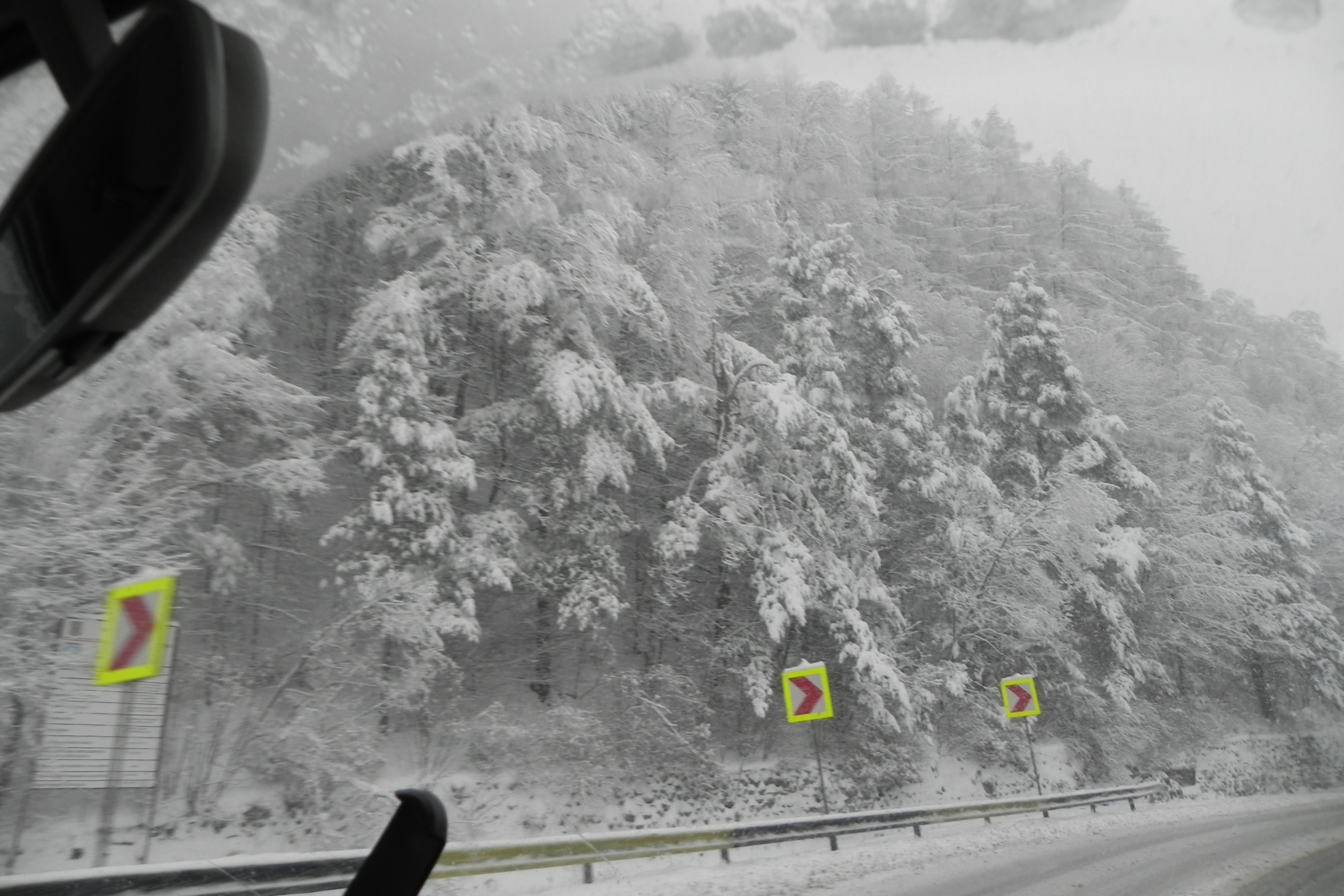 DSCN3362.JPG
