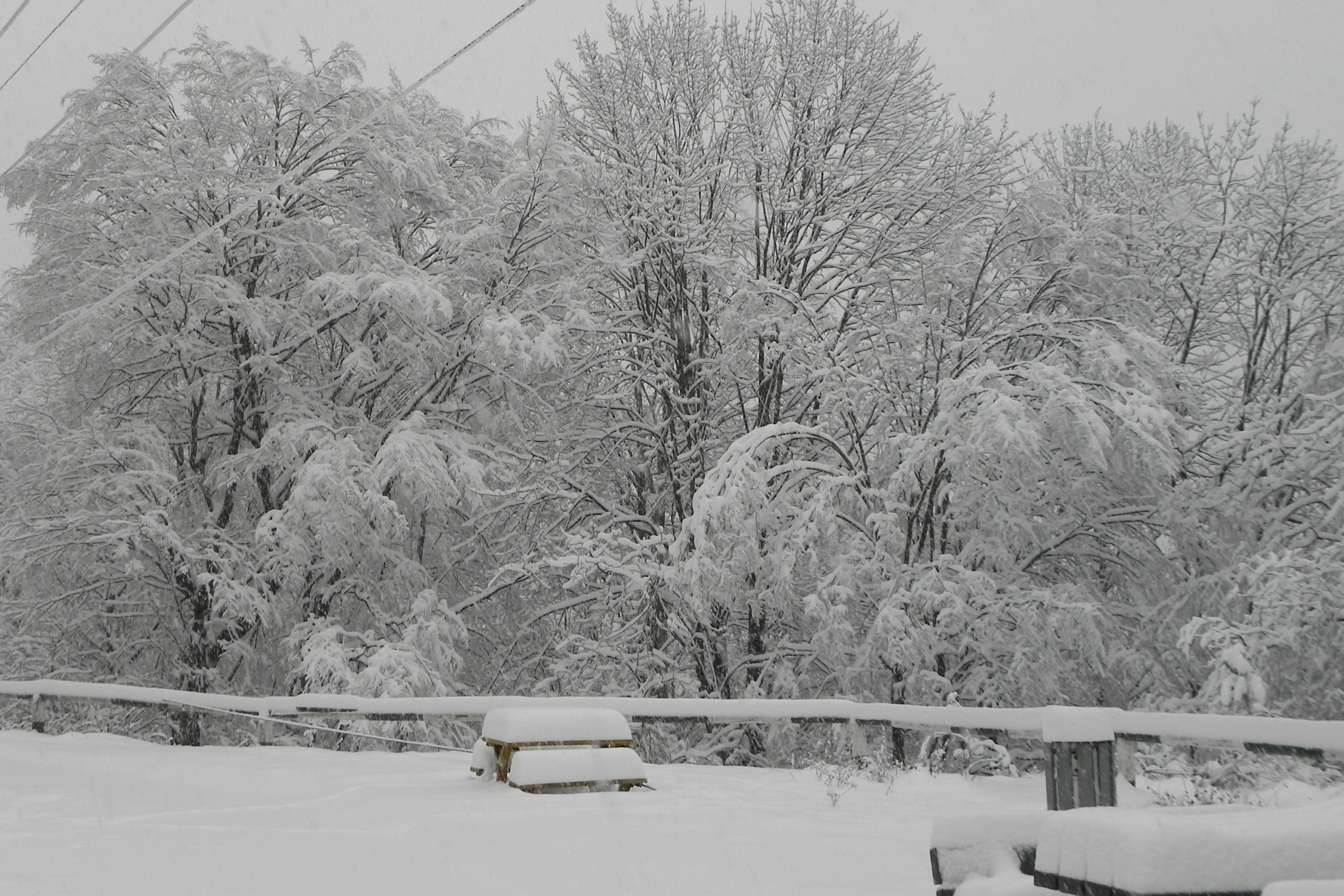 DSCN3366.JPG