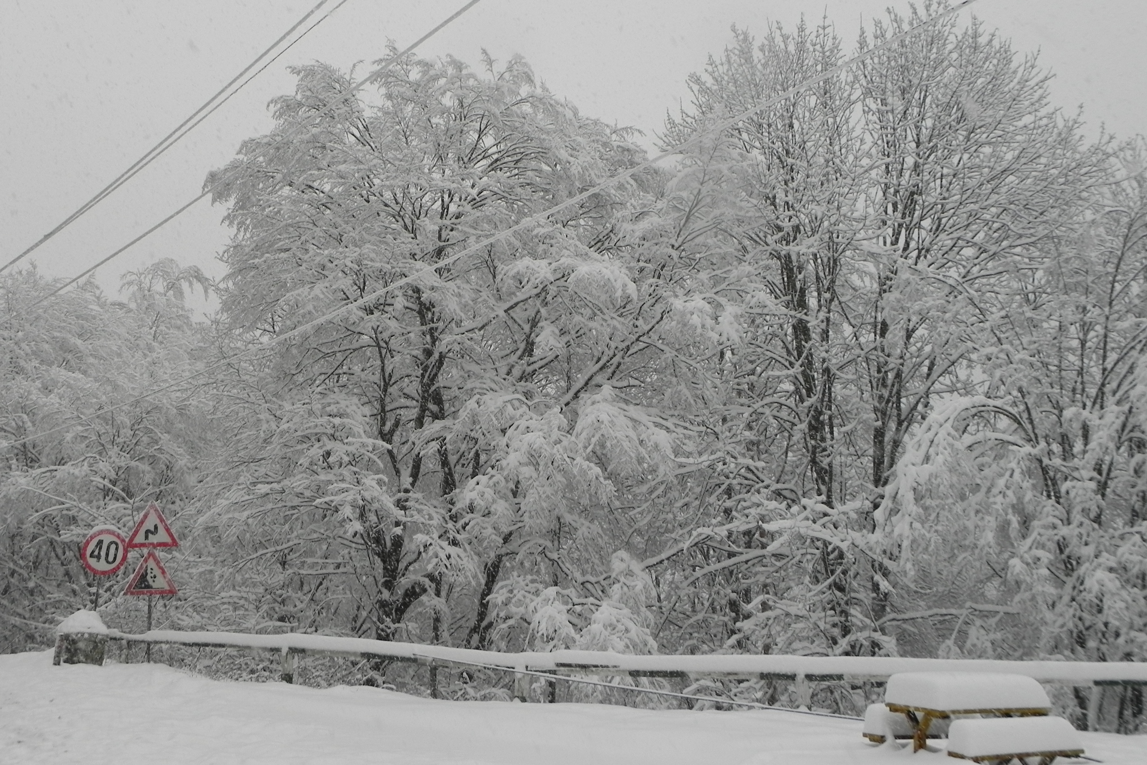 DSCN3368.JPG