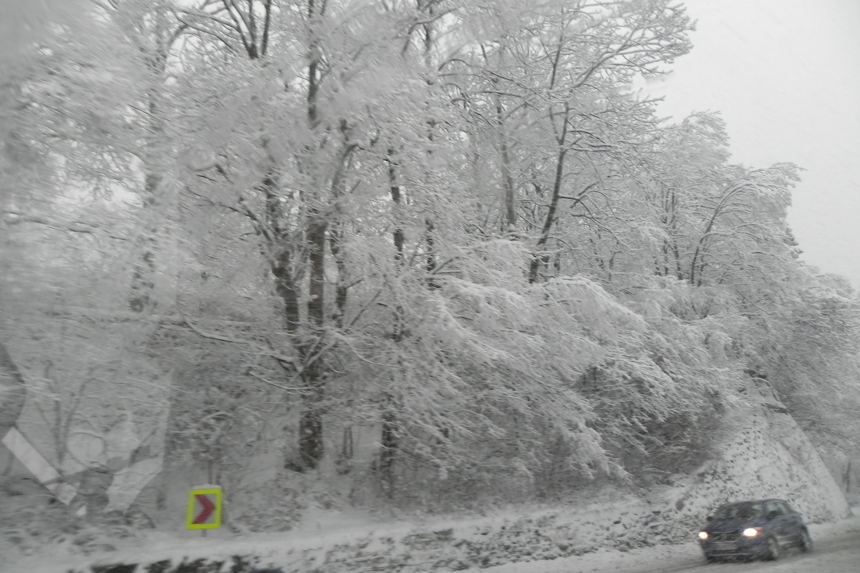DSCN3392.JPG