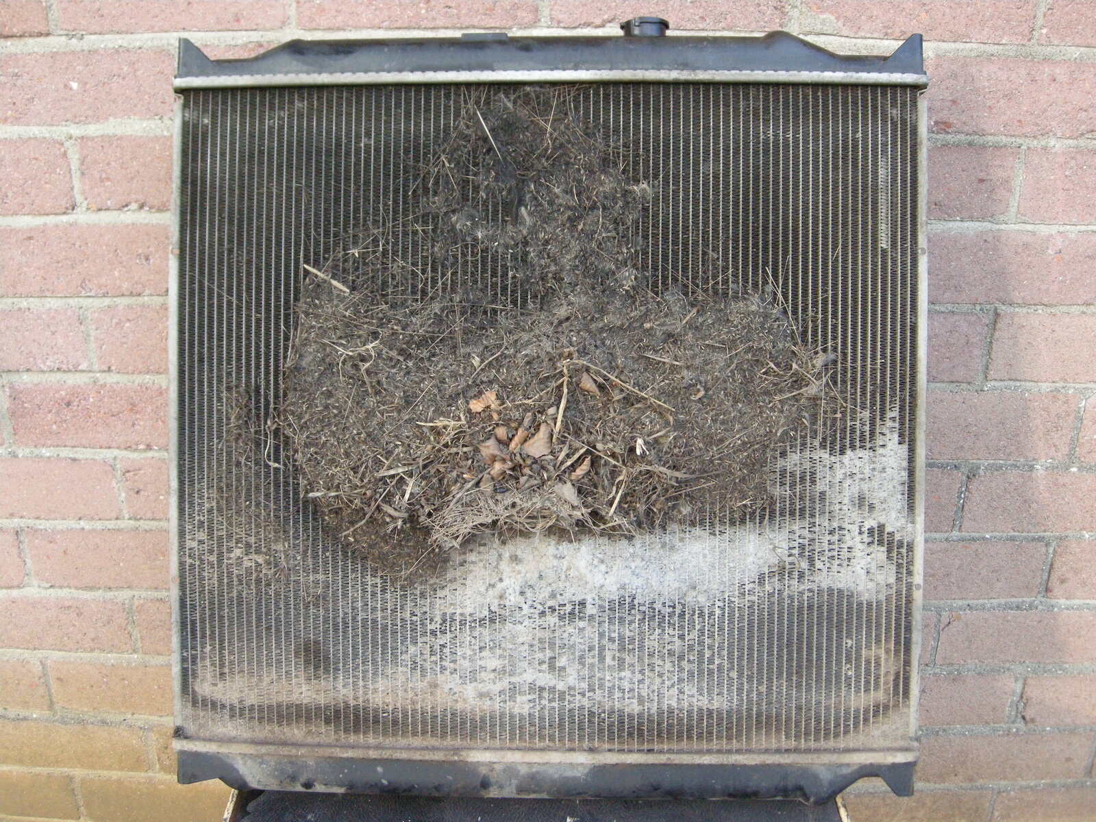 DSCN4525.JPG