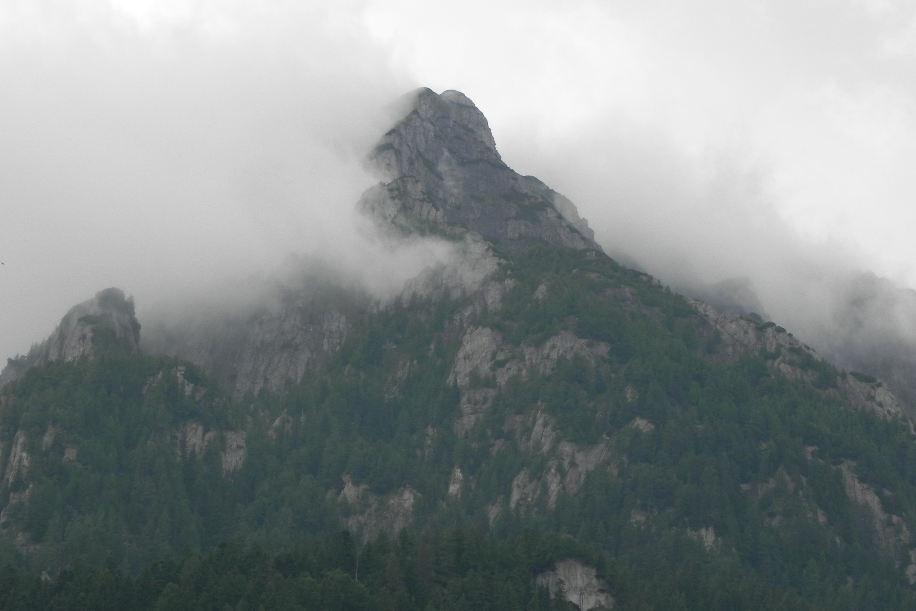 DSCN4719.JPG