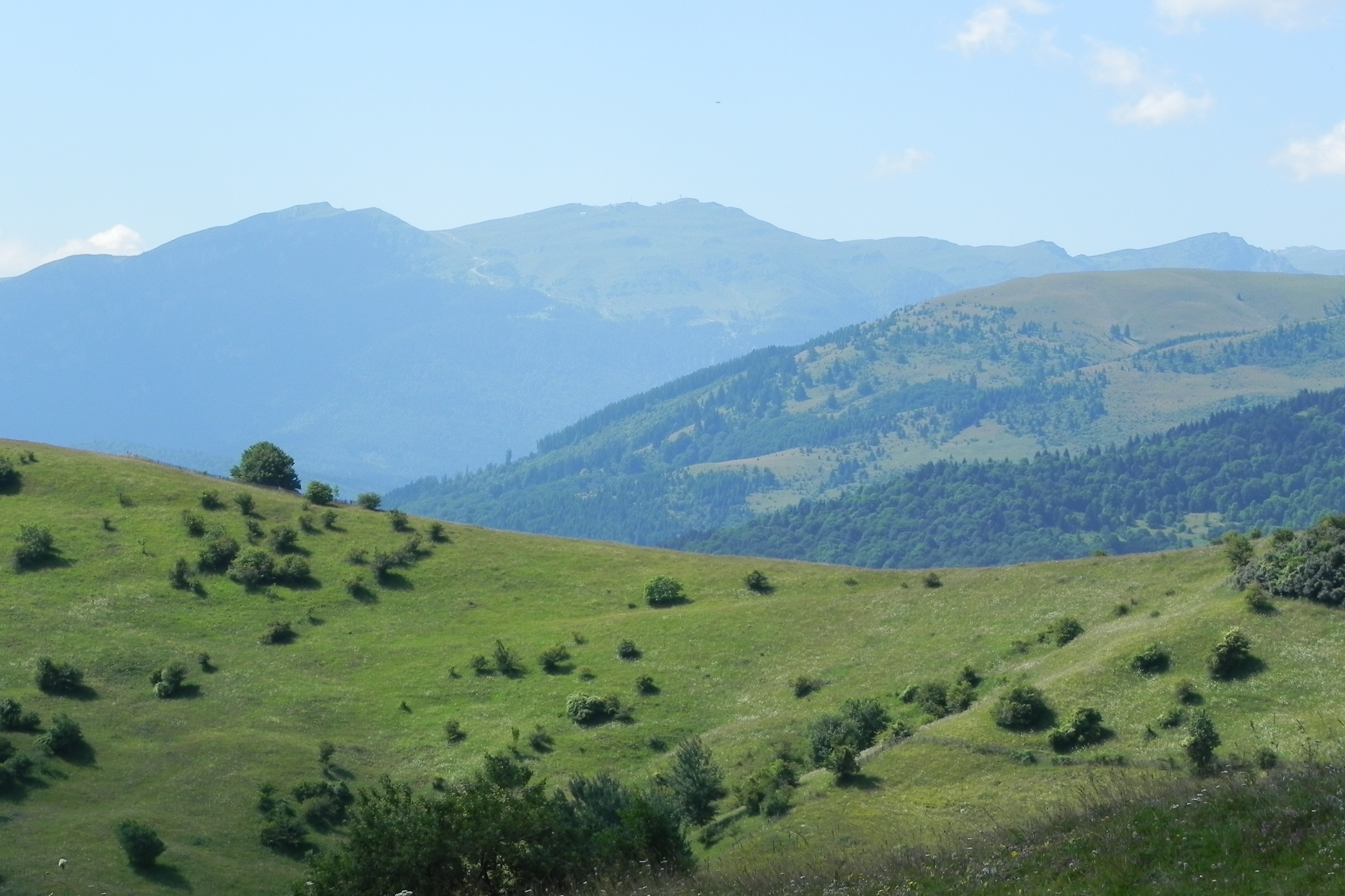 DSCN4736.JPG