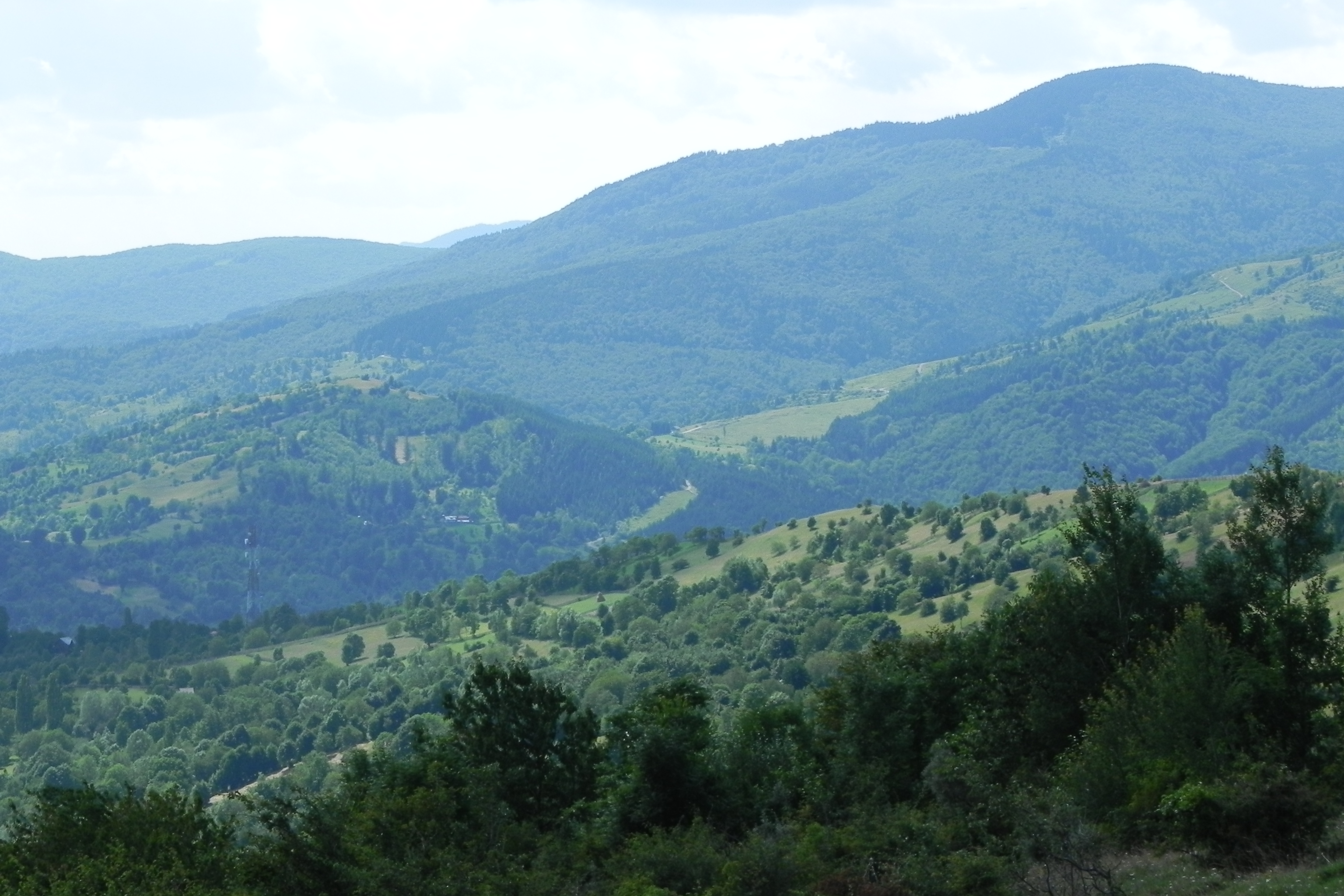 DSCN4740.JPG