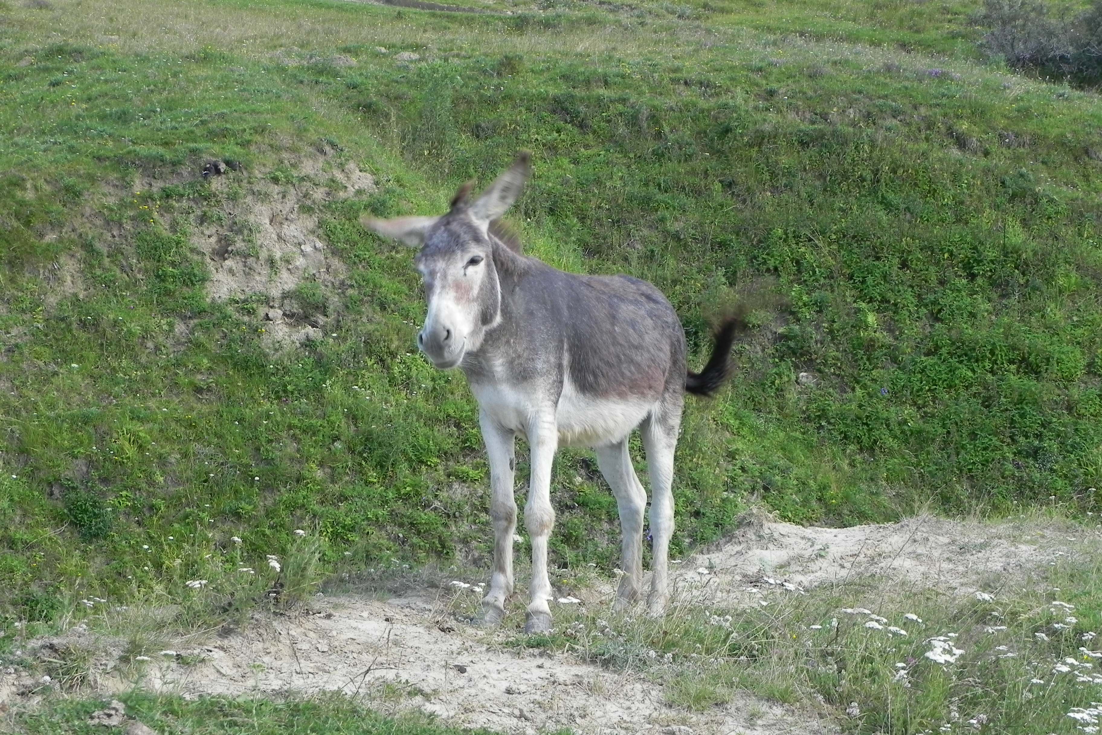 DSCN4744.JPG
