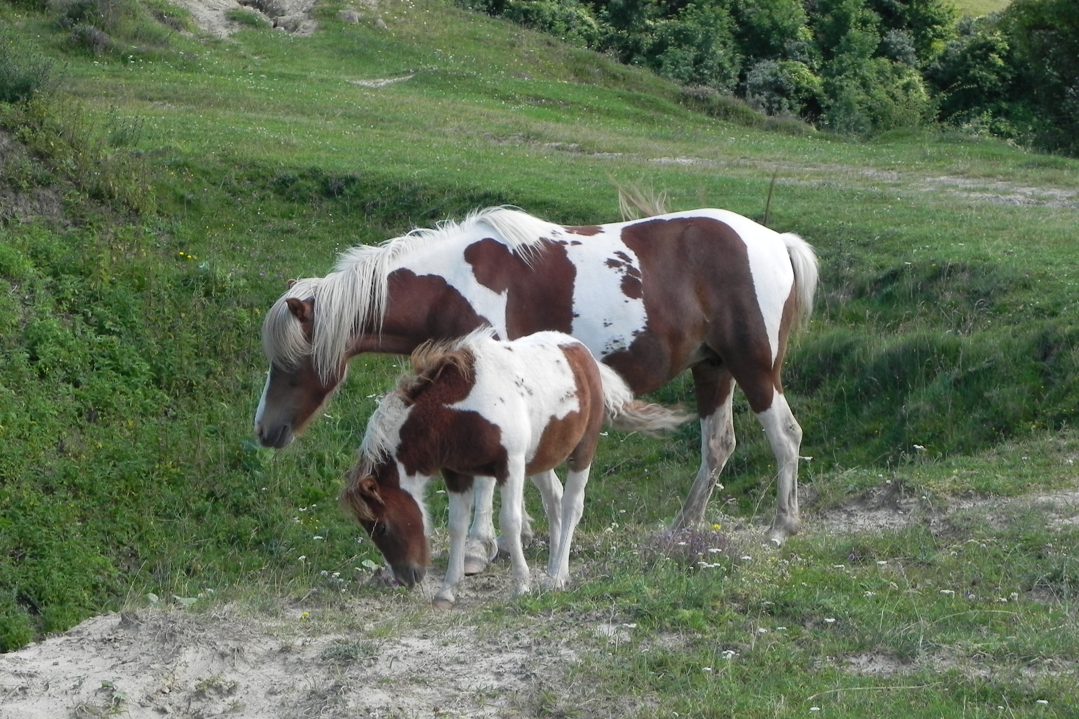 DSCN4747.JPG