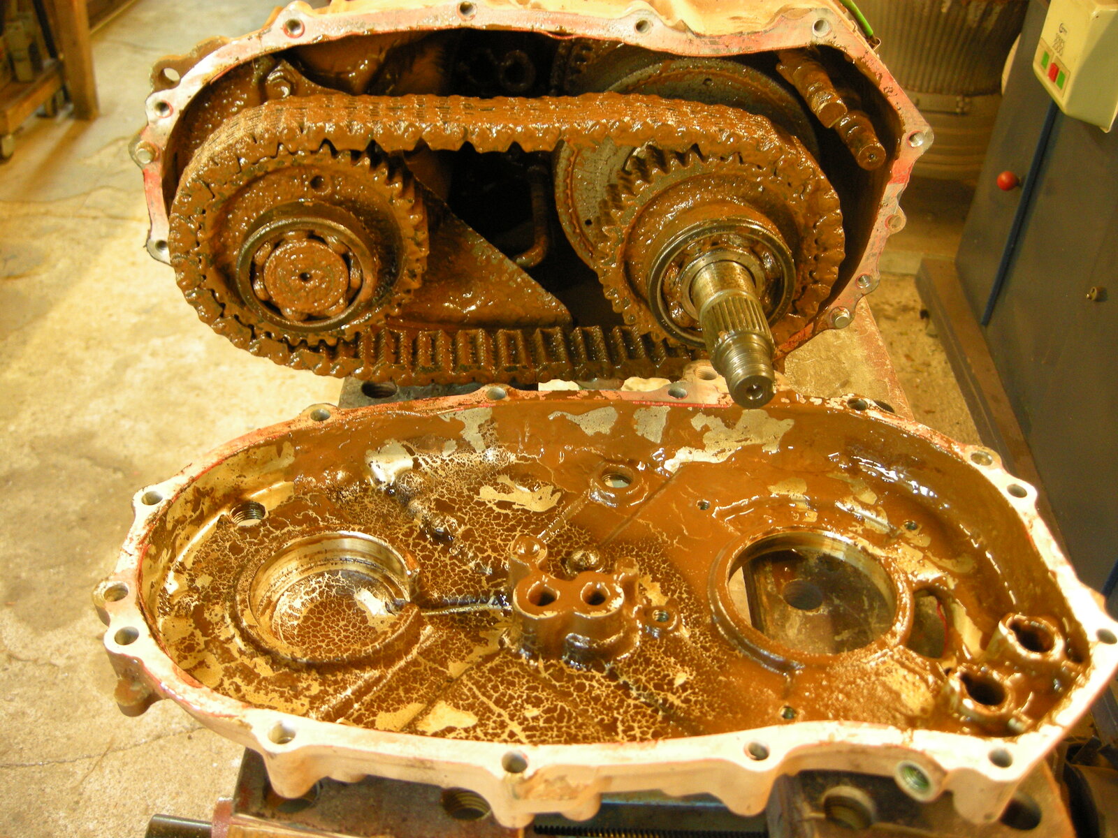 DSCN4858.JPG