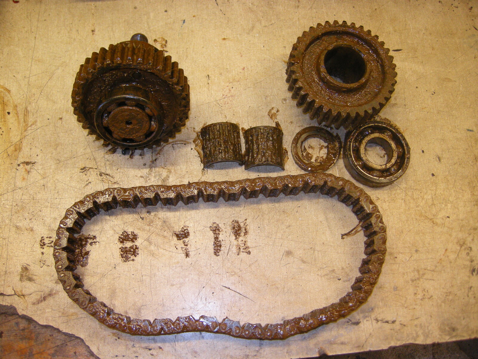 DSCN4864.JPG