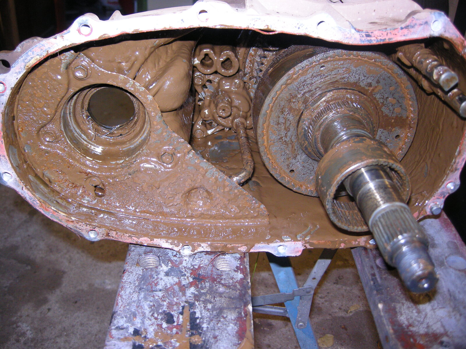 DSCN4866.JPG
