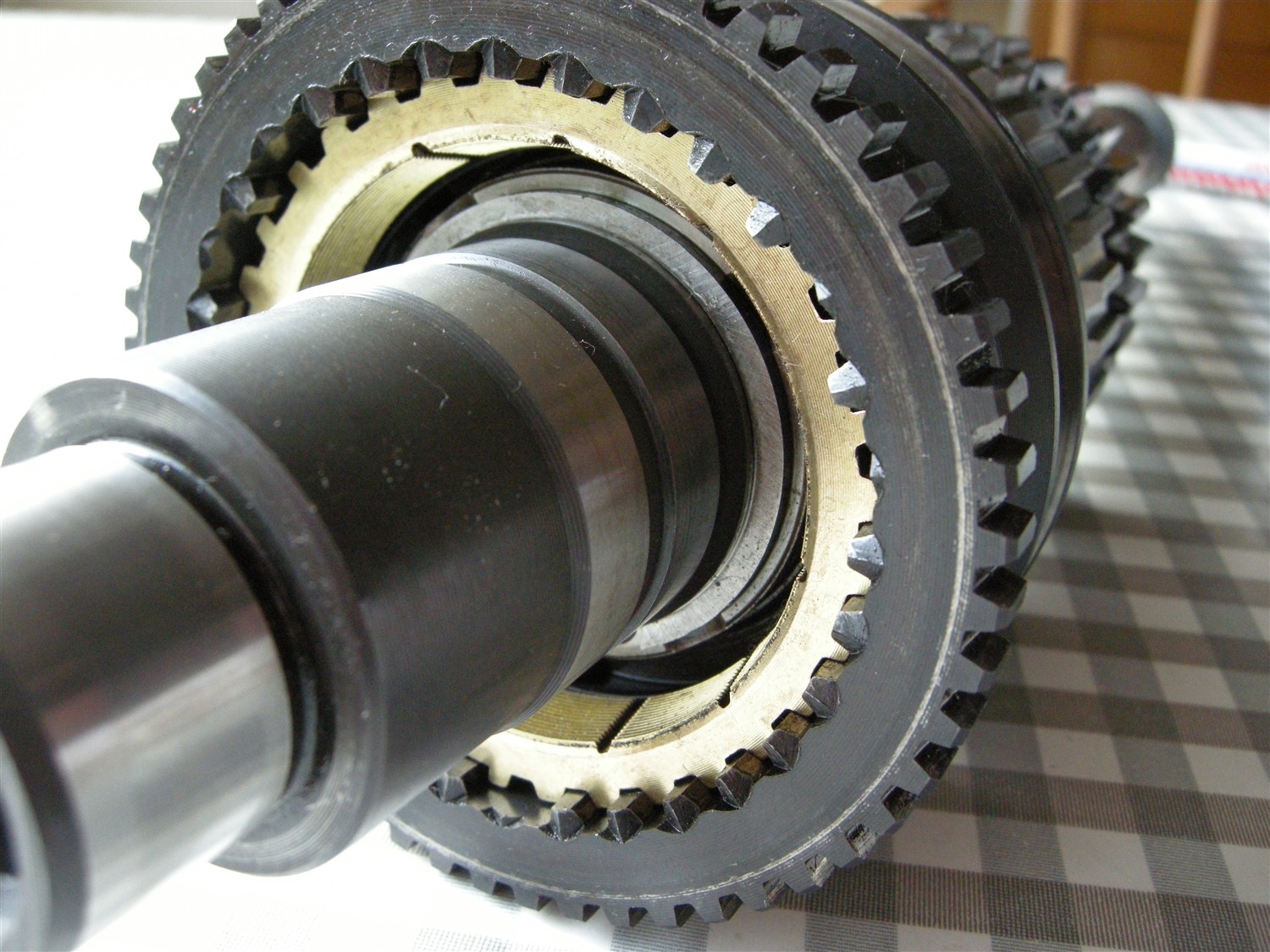 DSCN4885.jpg