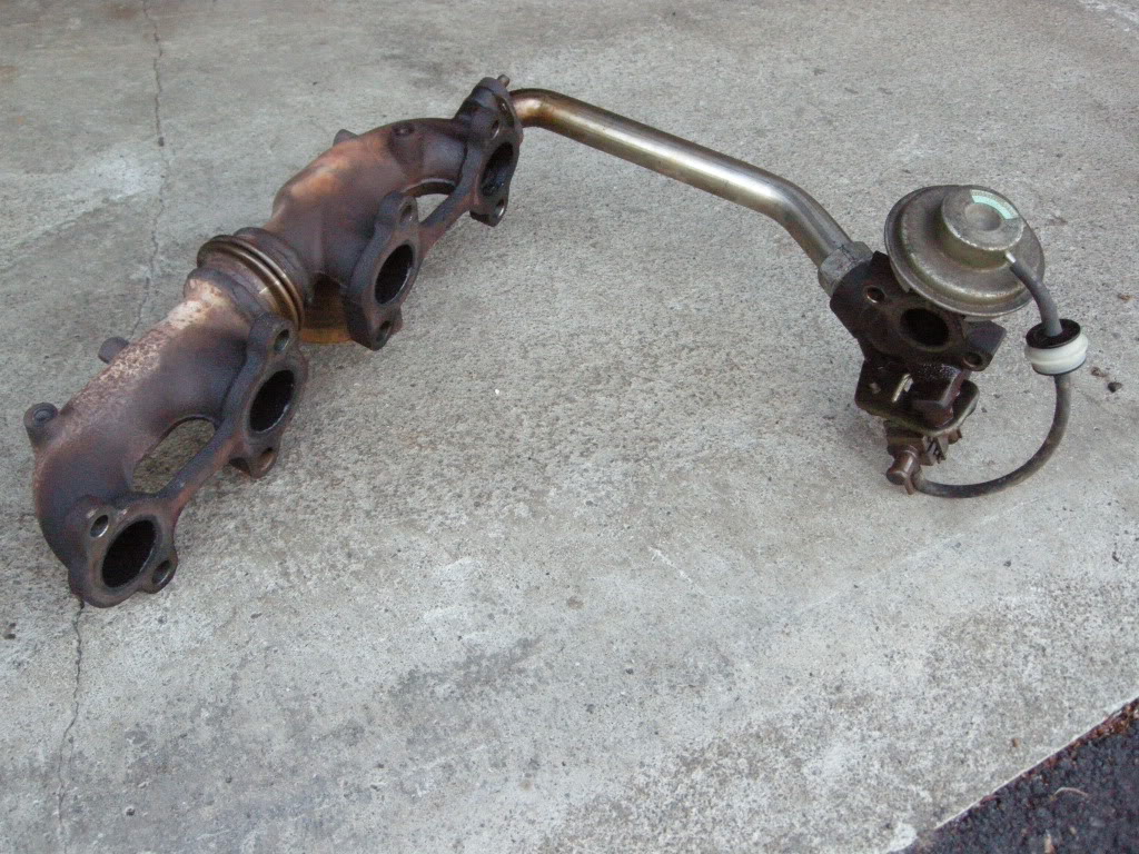 DSCN5767.jpg