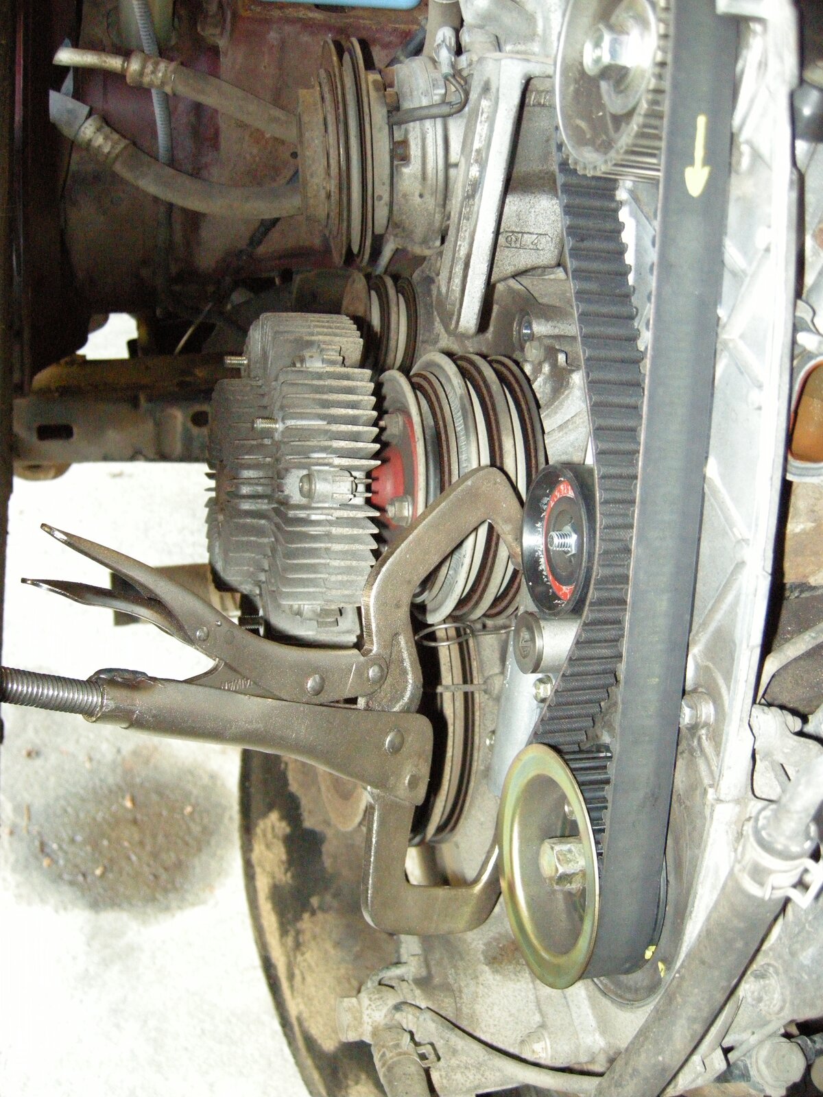 DSCN5791.JPG