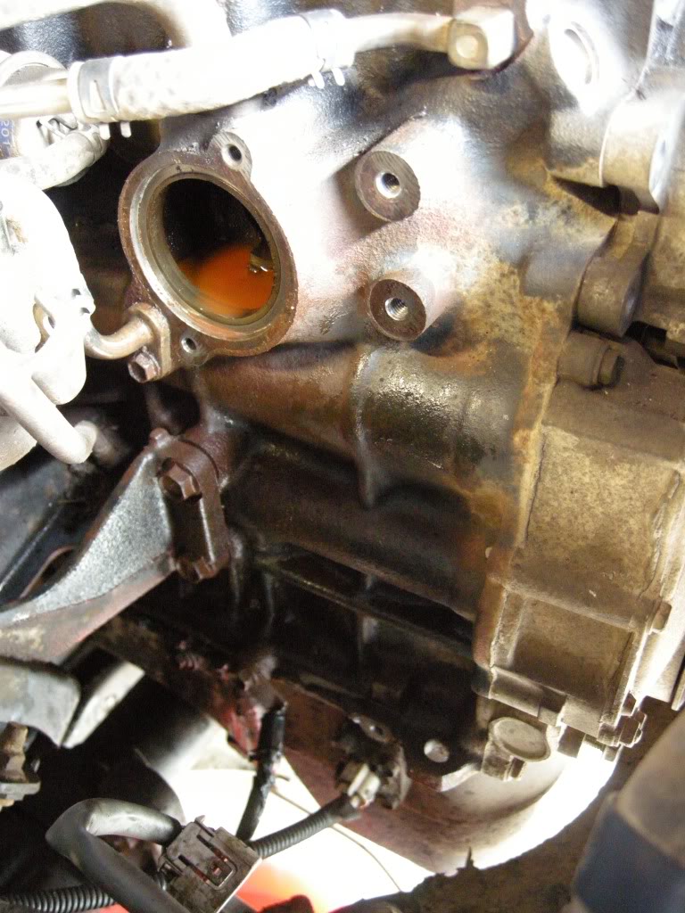 DSCN5867.jpg