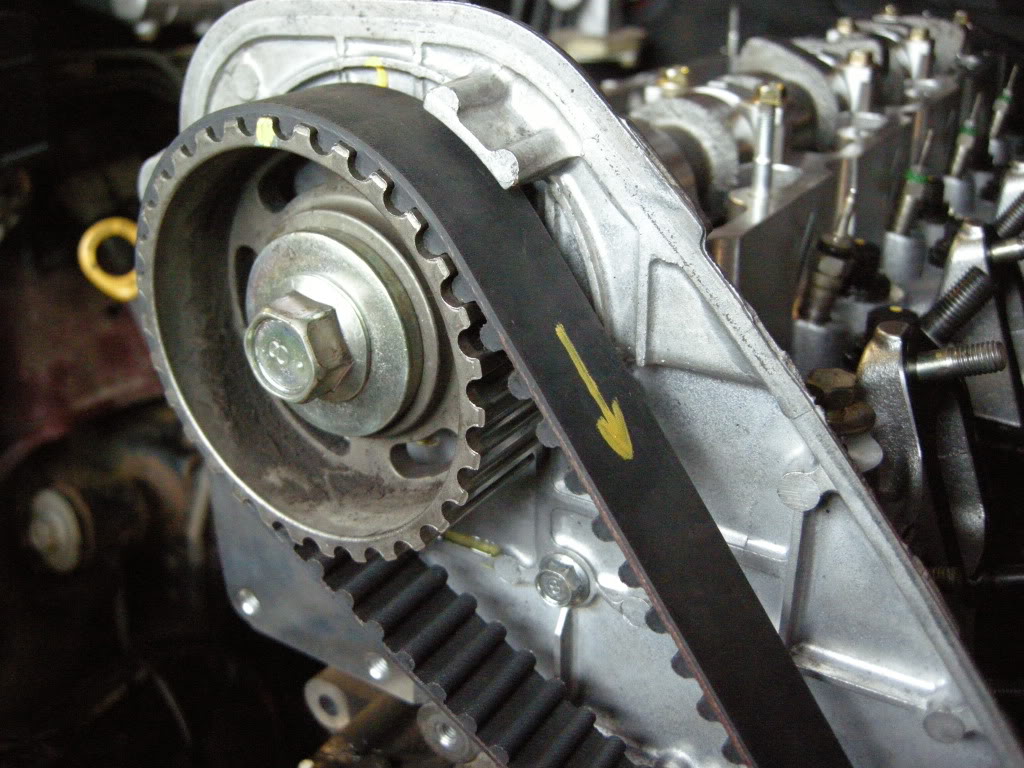 DSCN5930.jpg