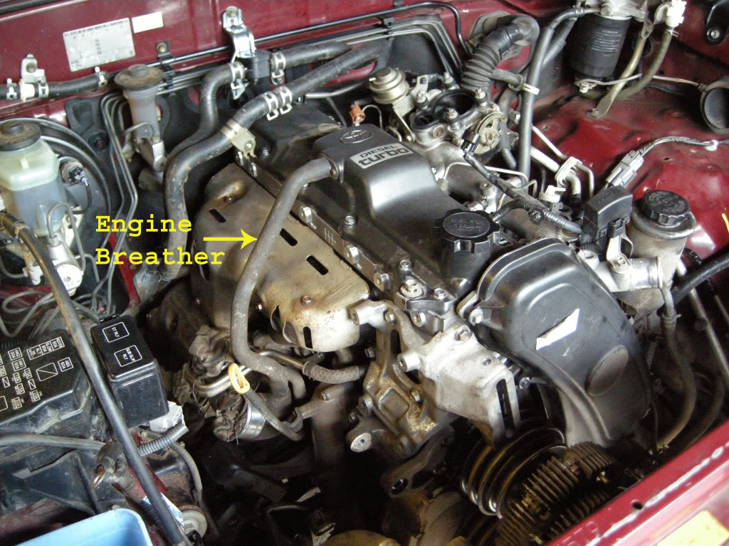 DSCN5965copy.jpg