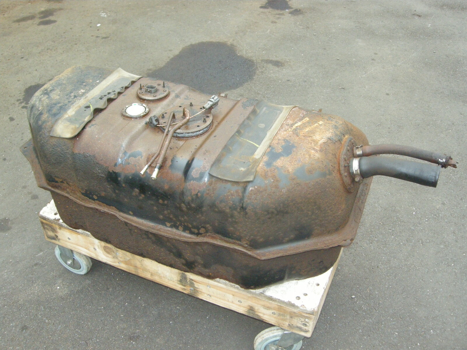 DSCN5967.JPG