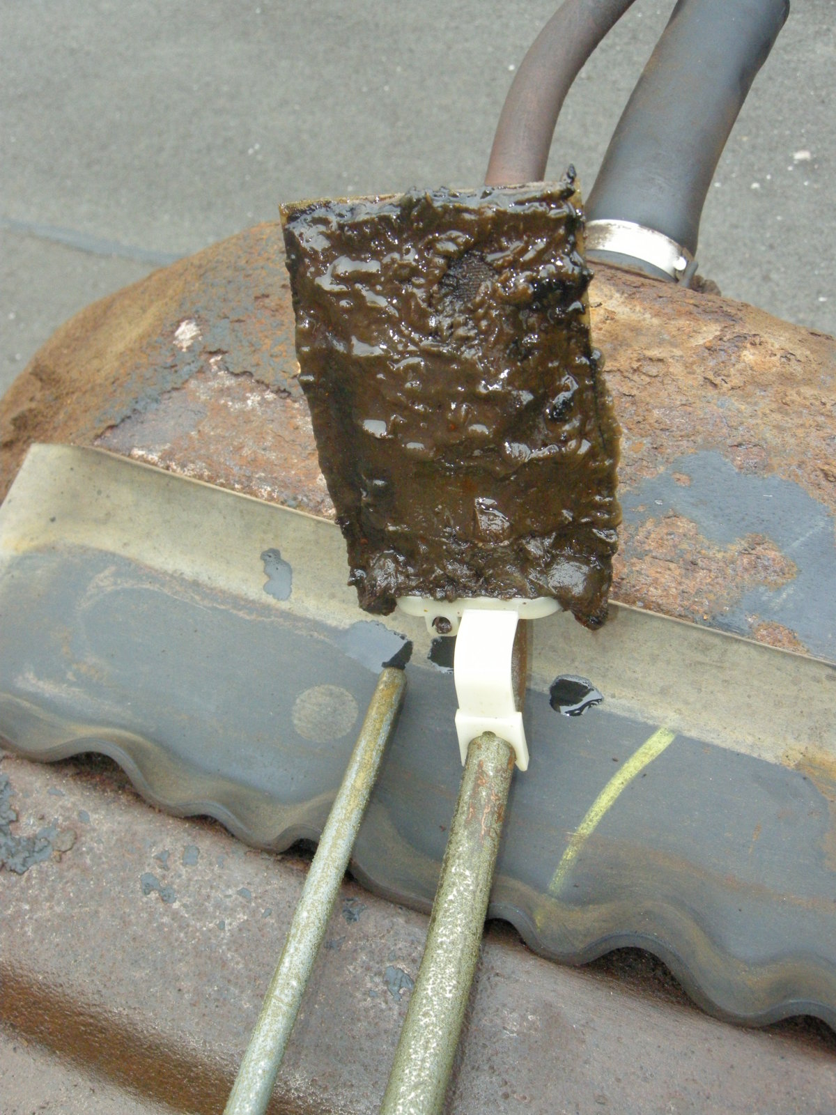 DSCN5969.JPG
