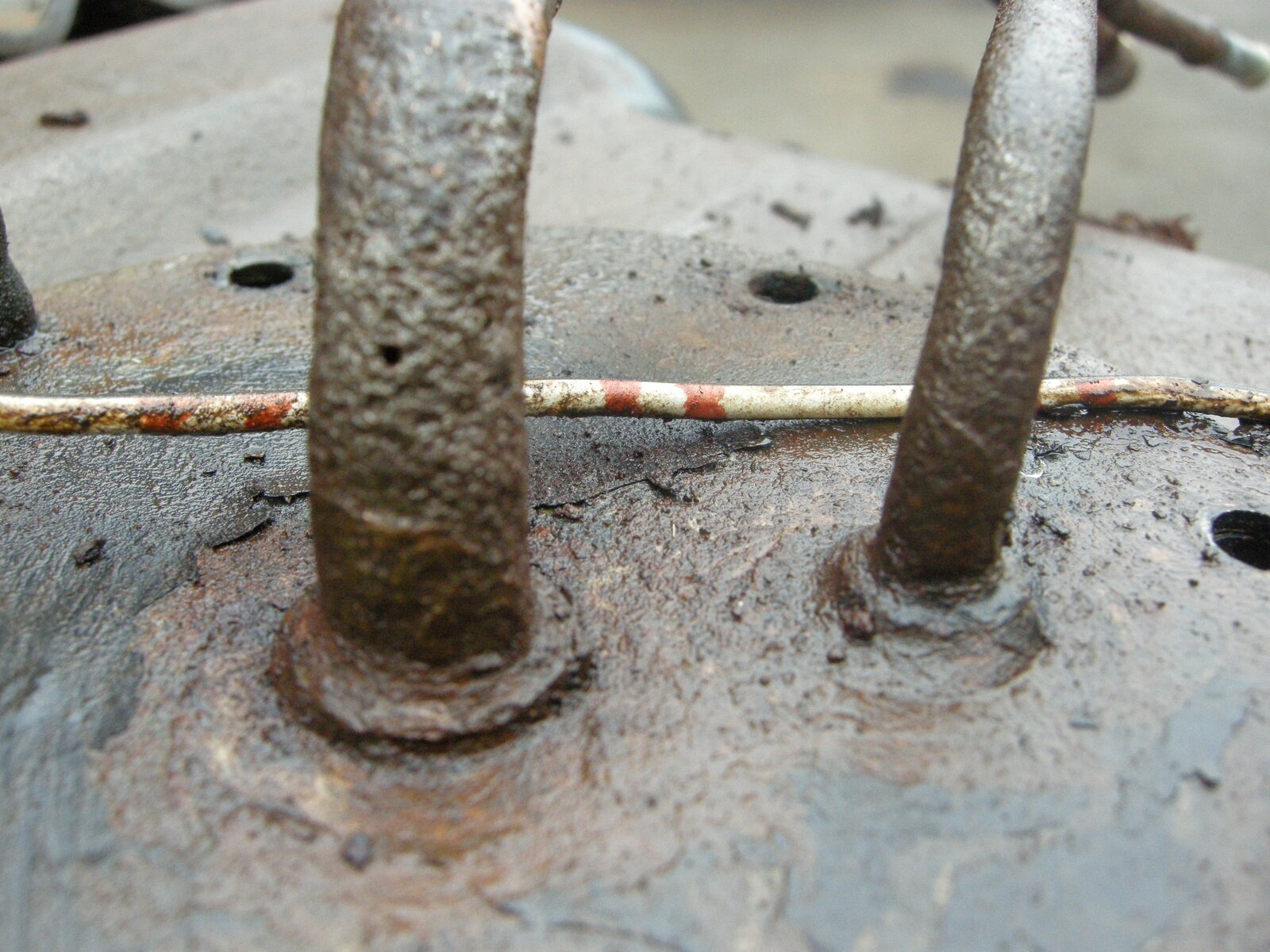 DSCN5974.JPG