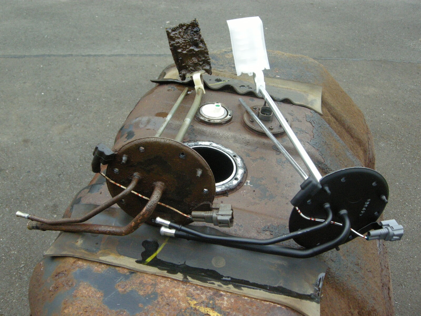DSCN5976.JPG