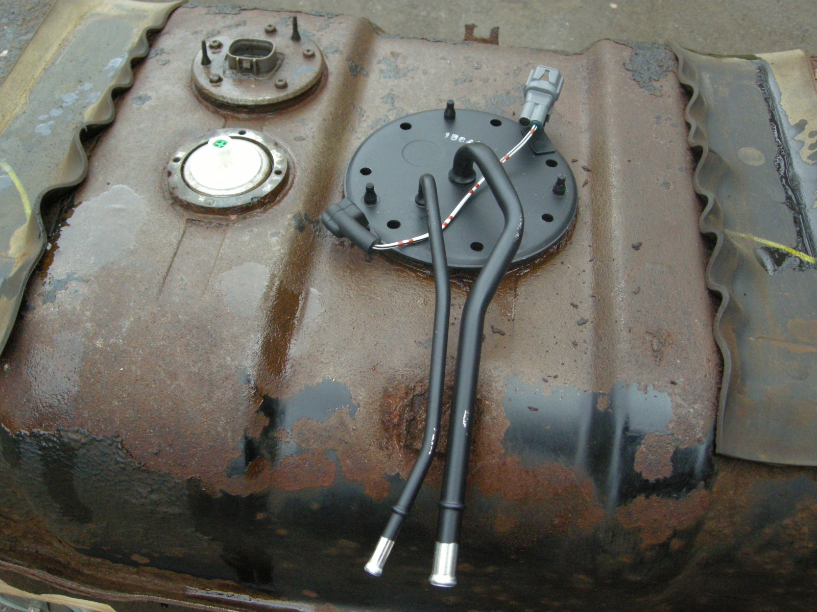 DSCN5977.JPG